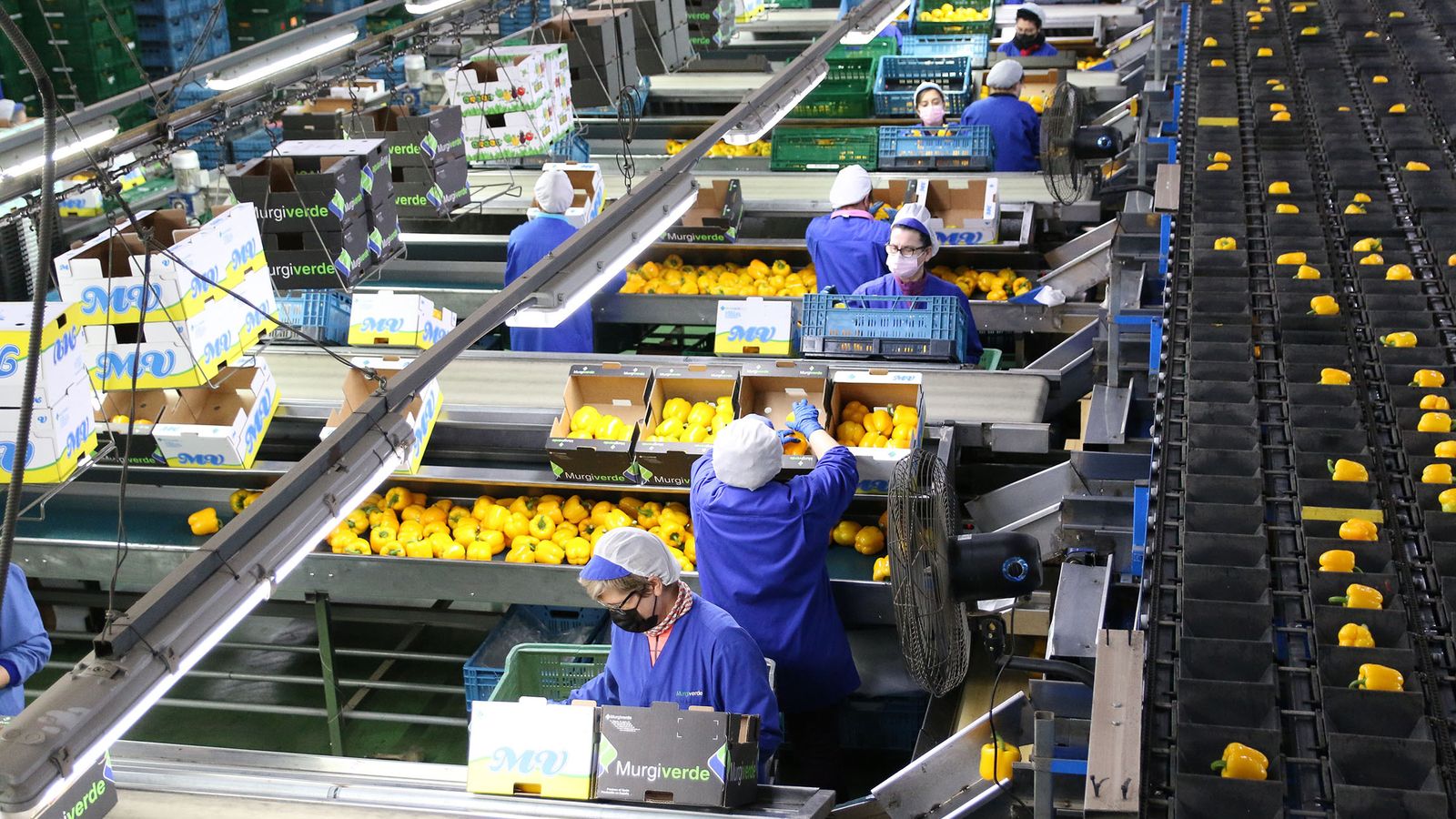 Operarias trabajando