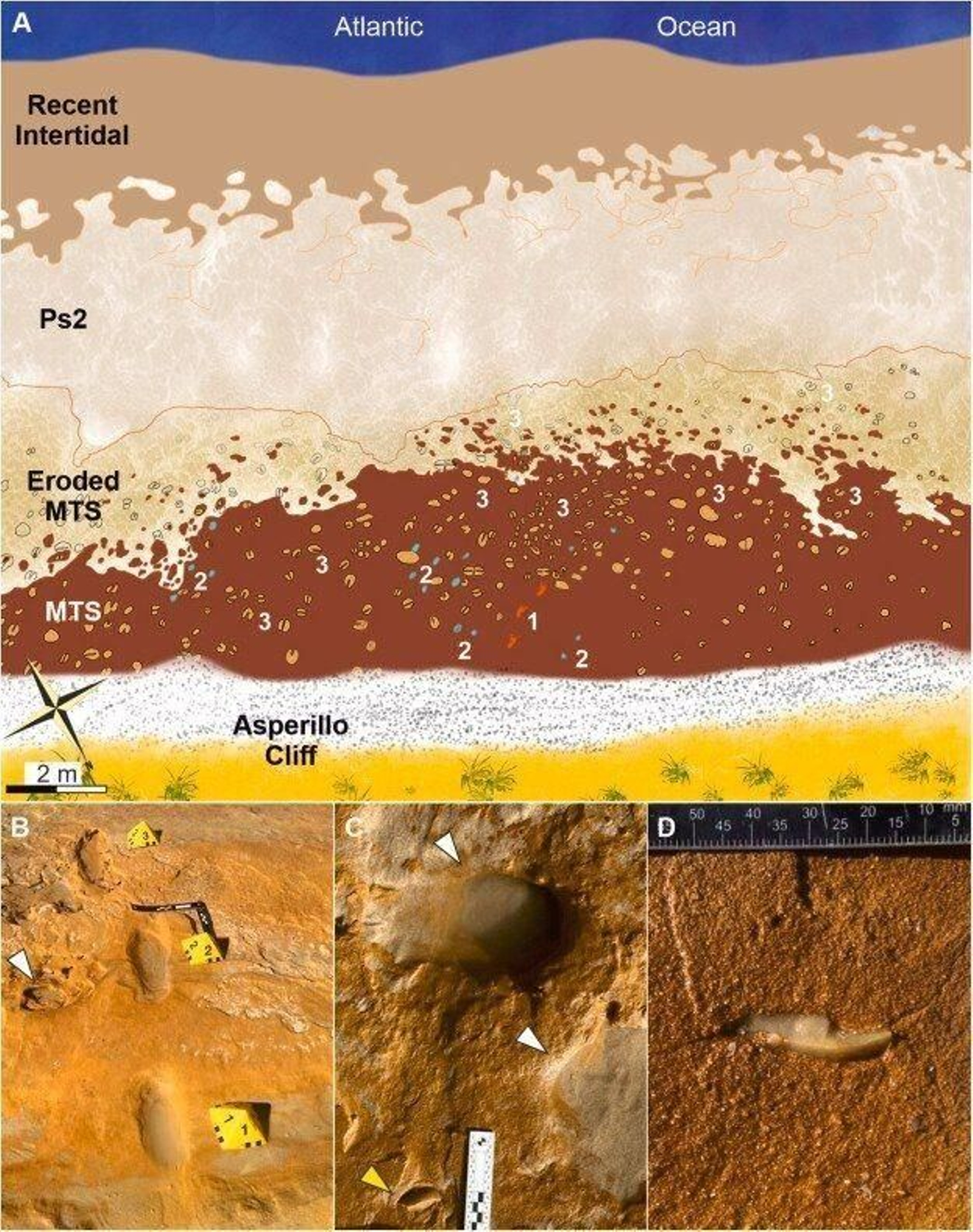 Huellas localizadas en Matalascañas