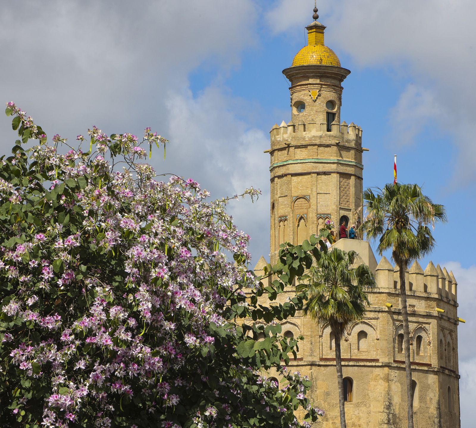 Primavera en Sevilla