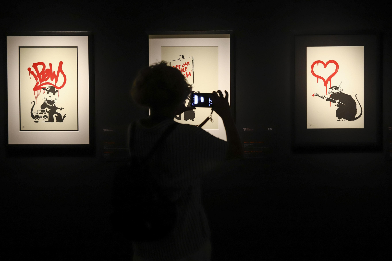 Las fotos de la exposición 'Banksy. The art of protest' en La Térmica, en Málaga