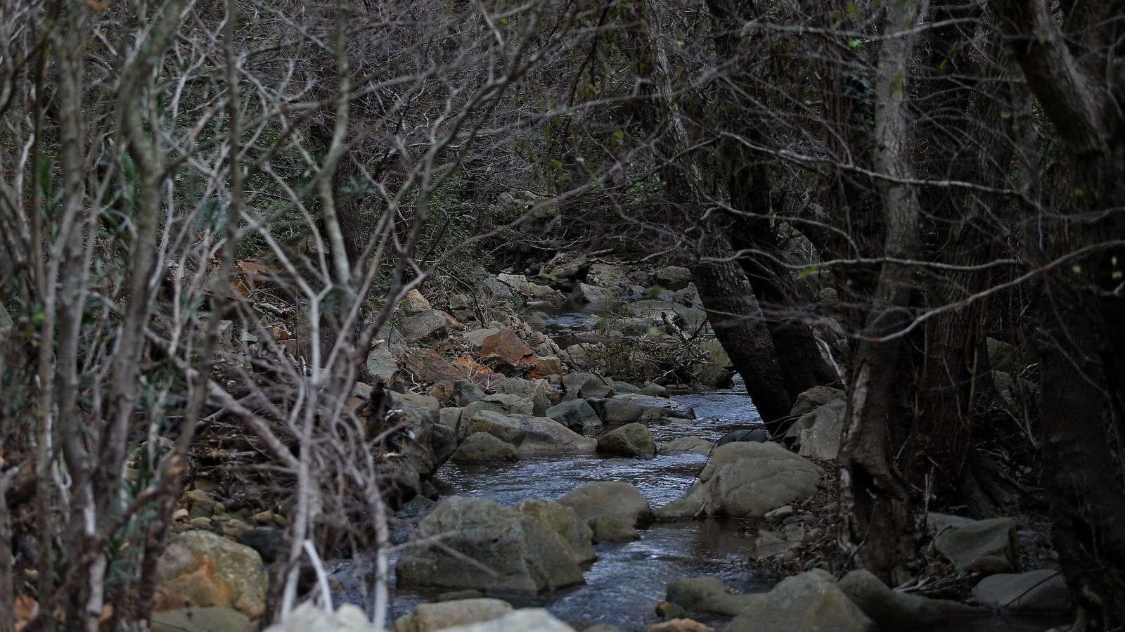 Las mejores fotos del sendero del Río de la Miel