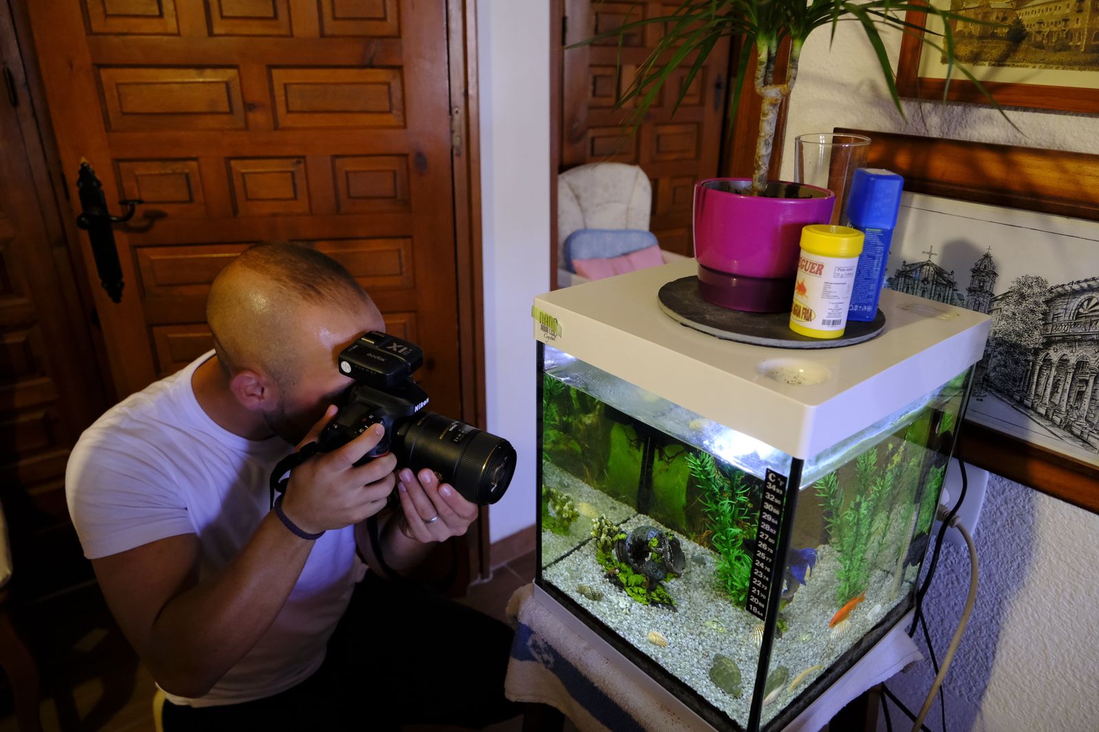 Álbum de las mascotas fotografiadas por 'El fotógrafo de mascotas'