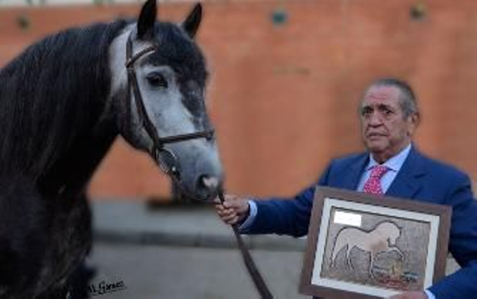 La cuna del caballo se mecía en Ducha
