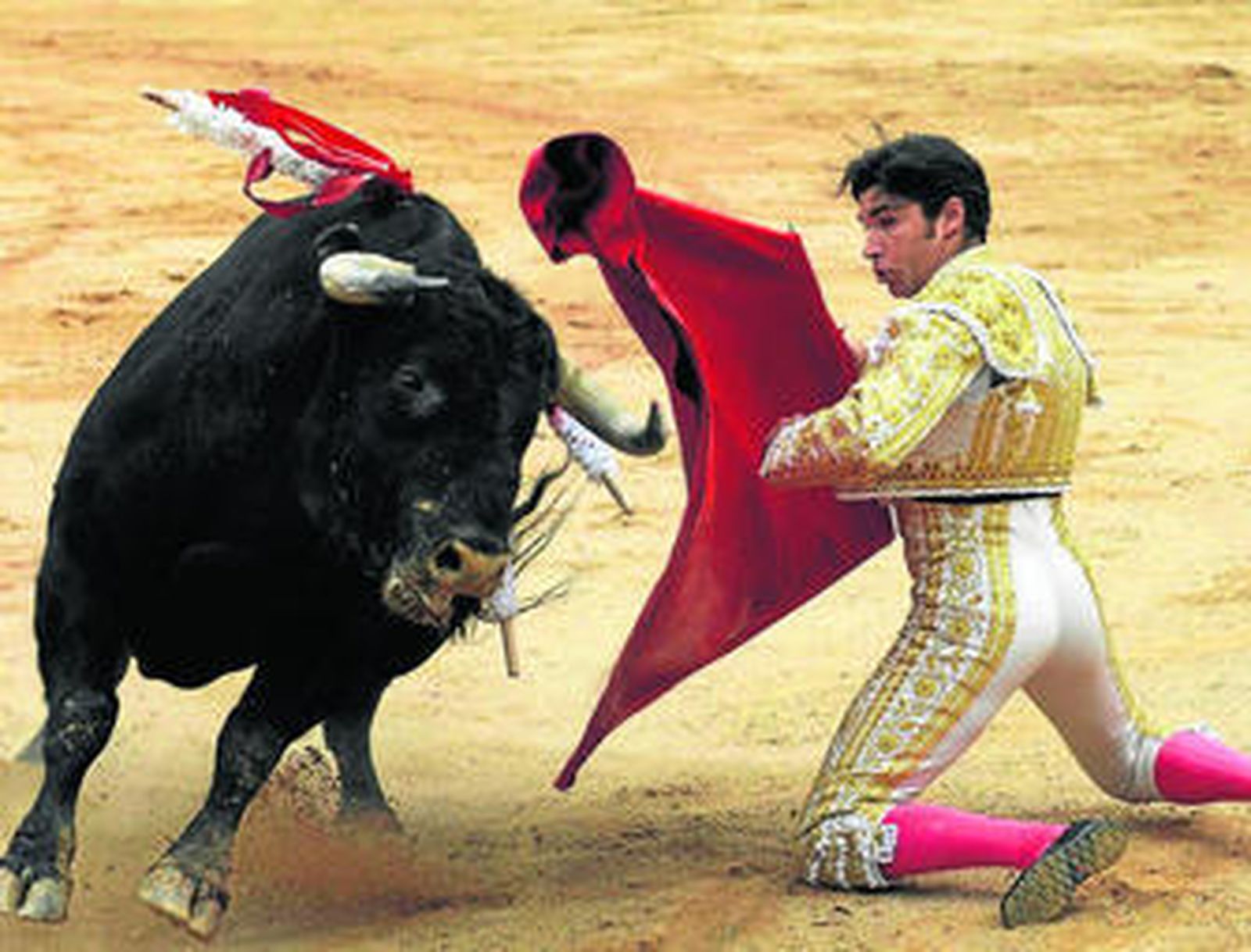 Cayetano inició una de sus faenas, ayer, en Gijón, con muletazos de rodillas.