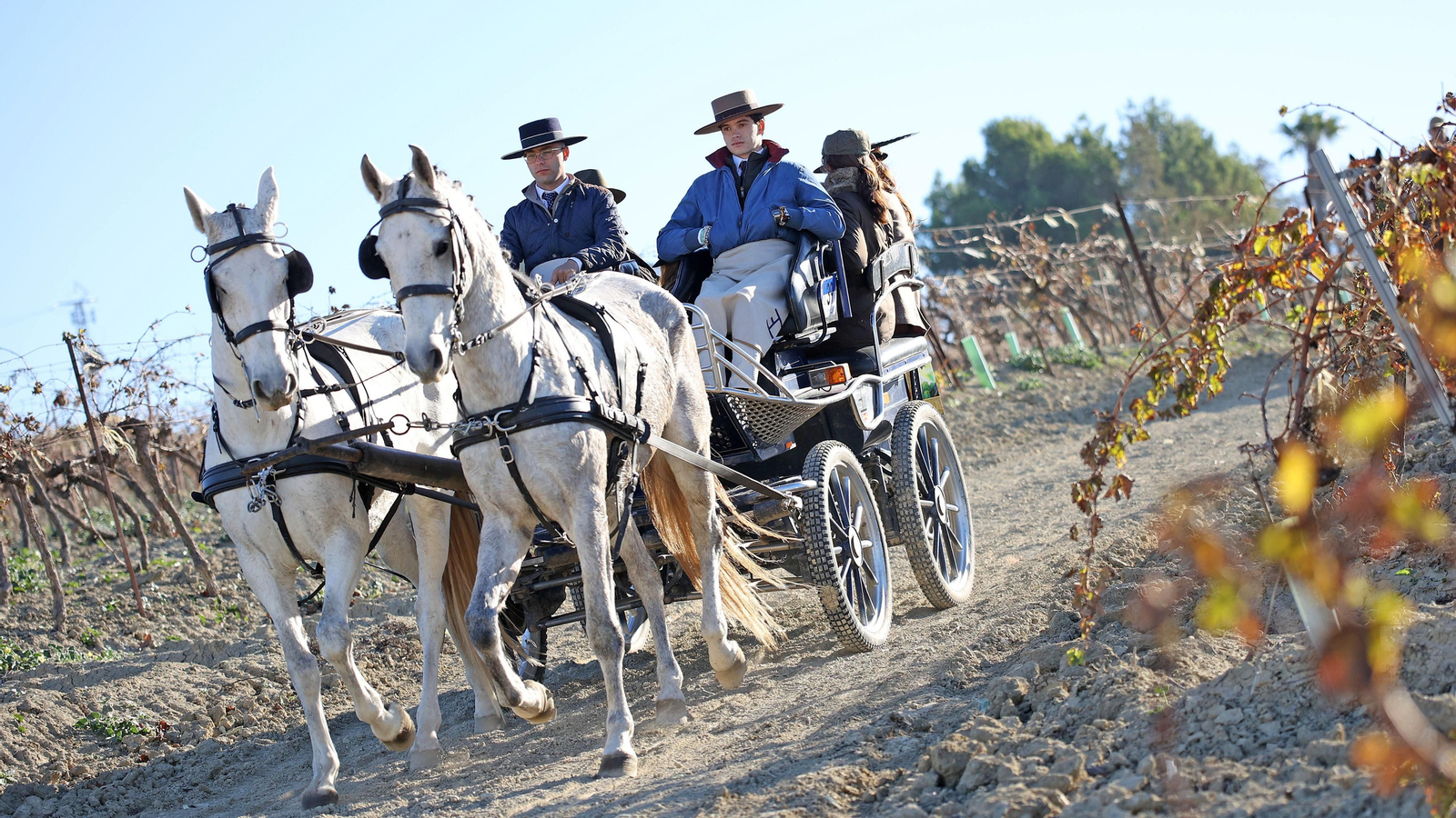 II Ruta Viñas de Jerez
