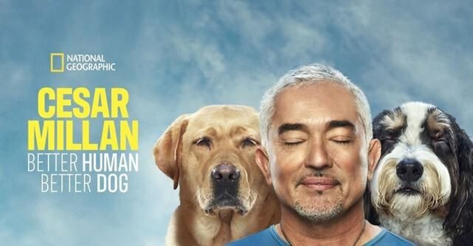 Cartel de 'Mejor humano, mejor perro'