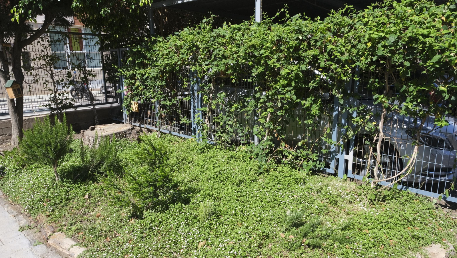 Proyecto Aulas Verdes Abiertas en el Colegio Mar Mediterráneo, de Almería