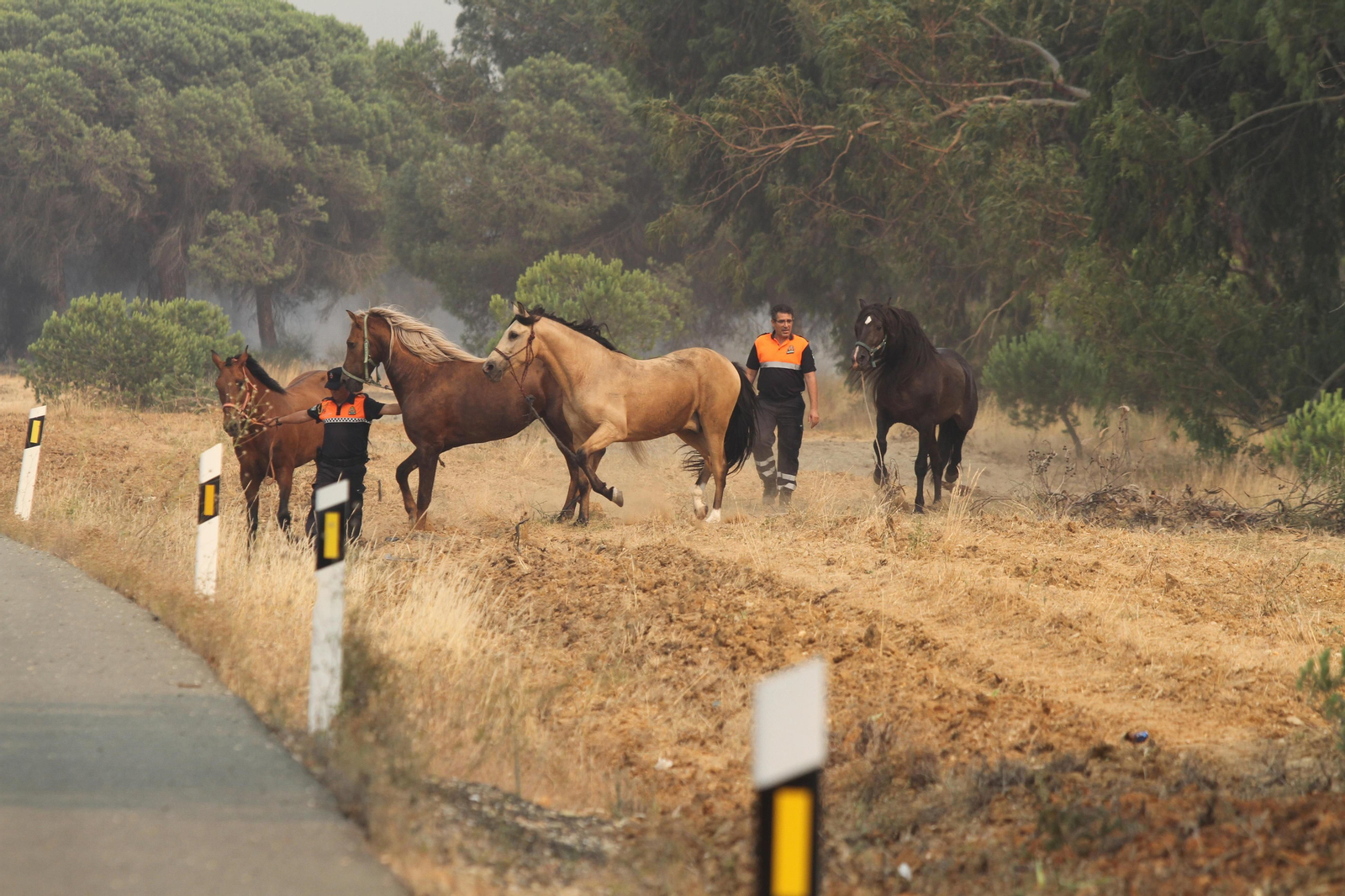 Las imágenes del incendio en Moguer y Mazagón