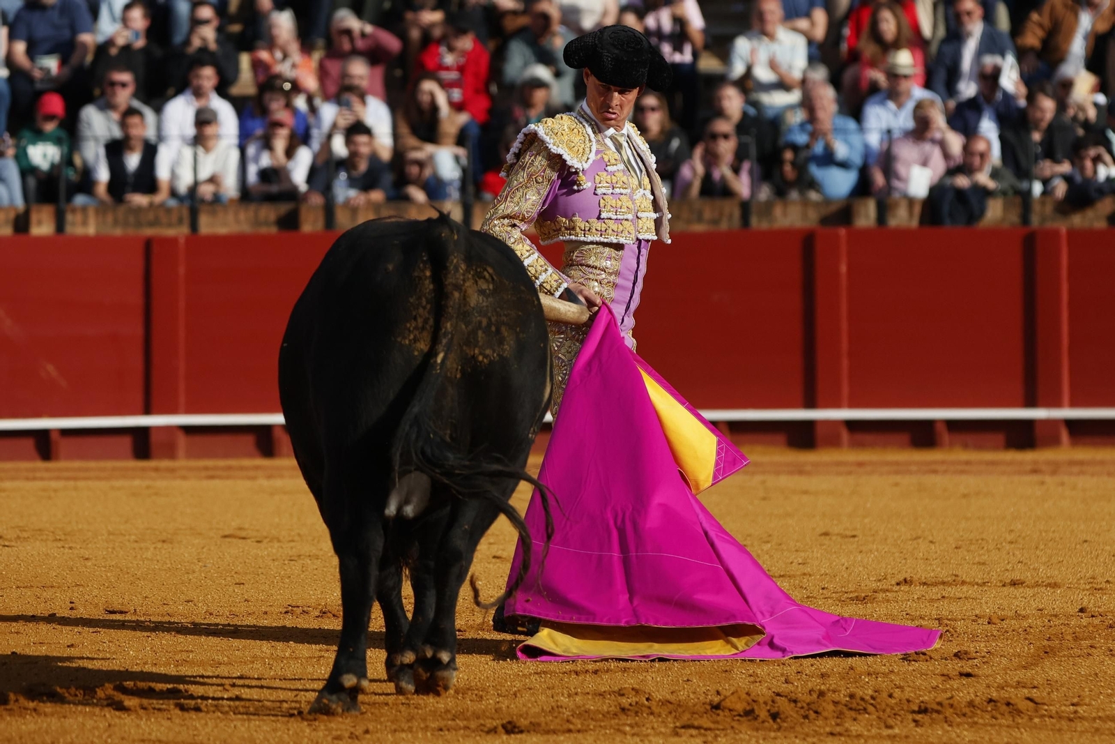 Las Imágenes del festejo