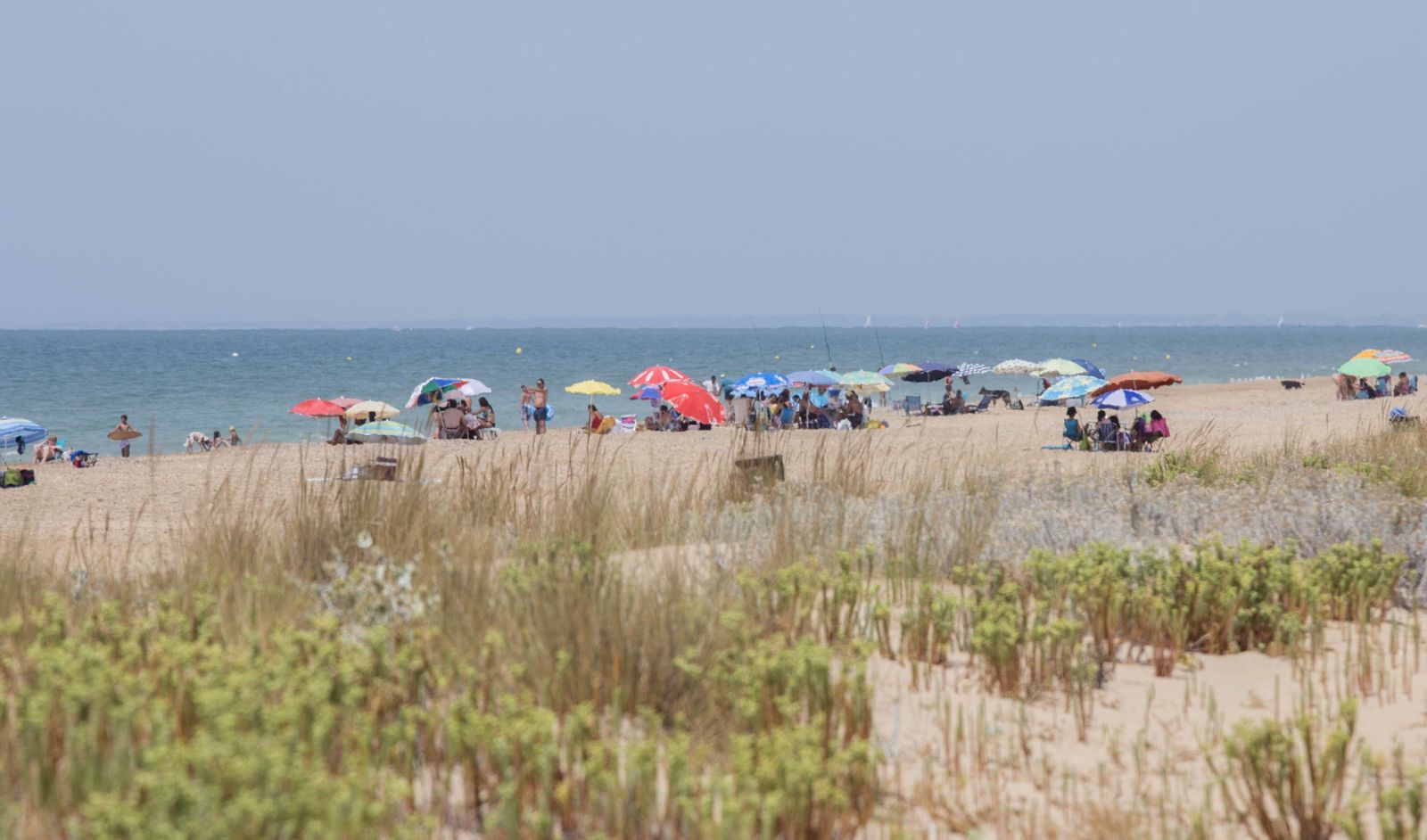 Es la playa más joven de la provincia y se sitúa en el seno del Paraje Natural Marismas del Odiel