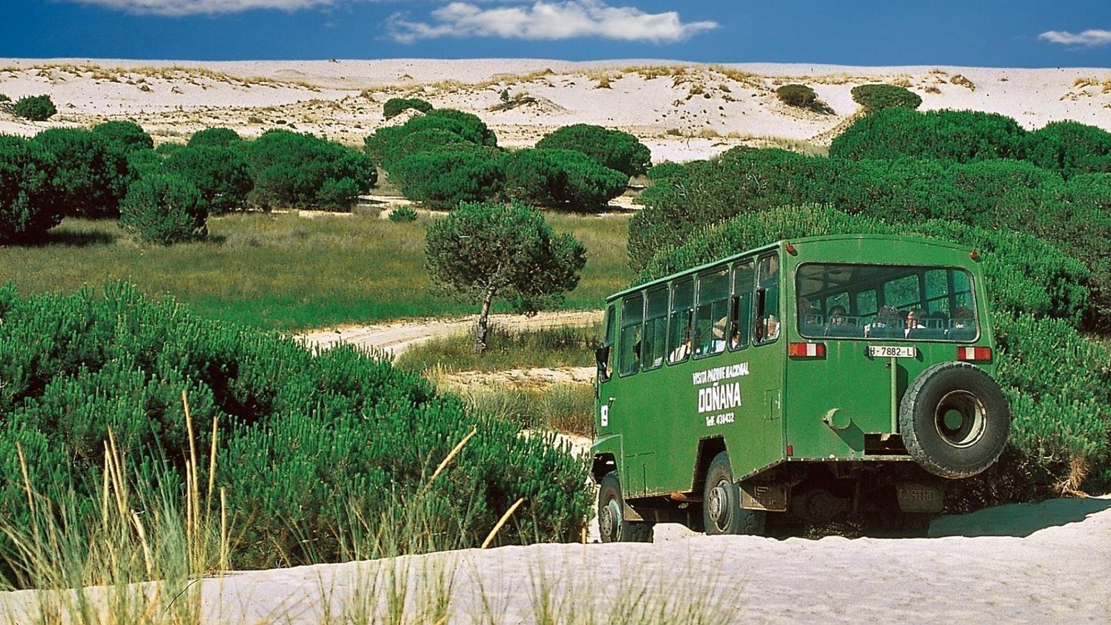 Parque Natural de Doñana, Huelva.