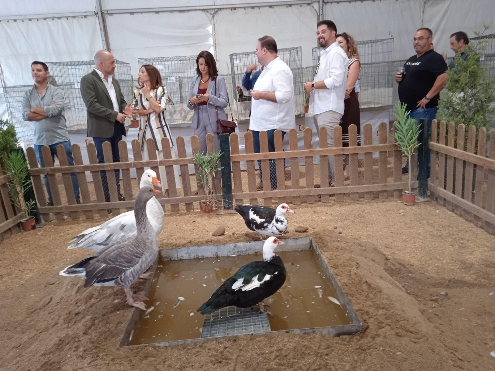 Un recorrido en imágenes por FAGA, la Feria Agroganadera de Fuente Obejuna