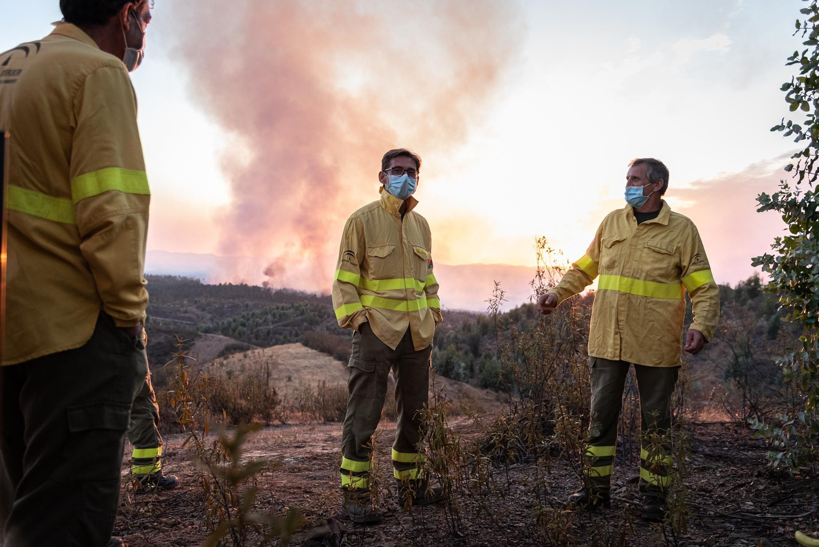 Imágenes del incendio en La Zarza