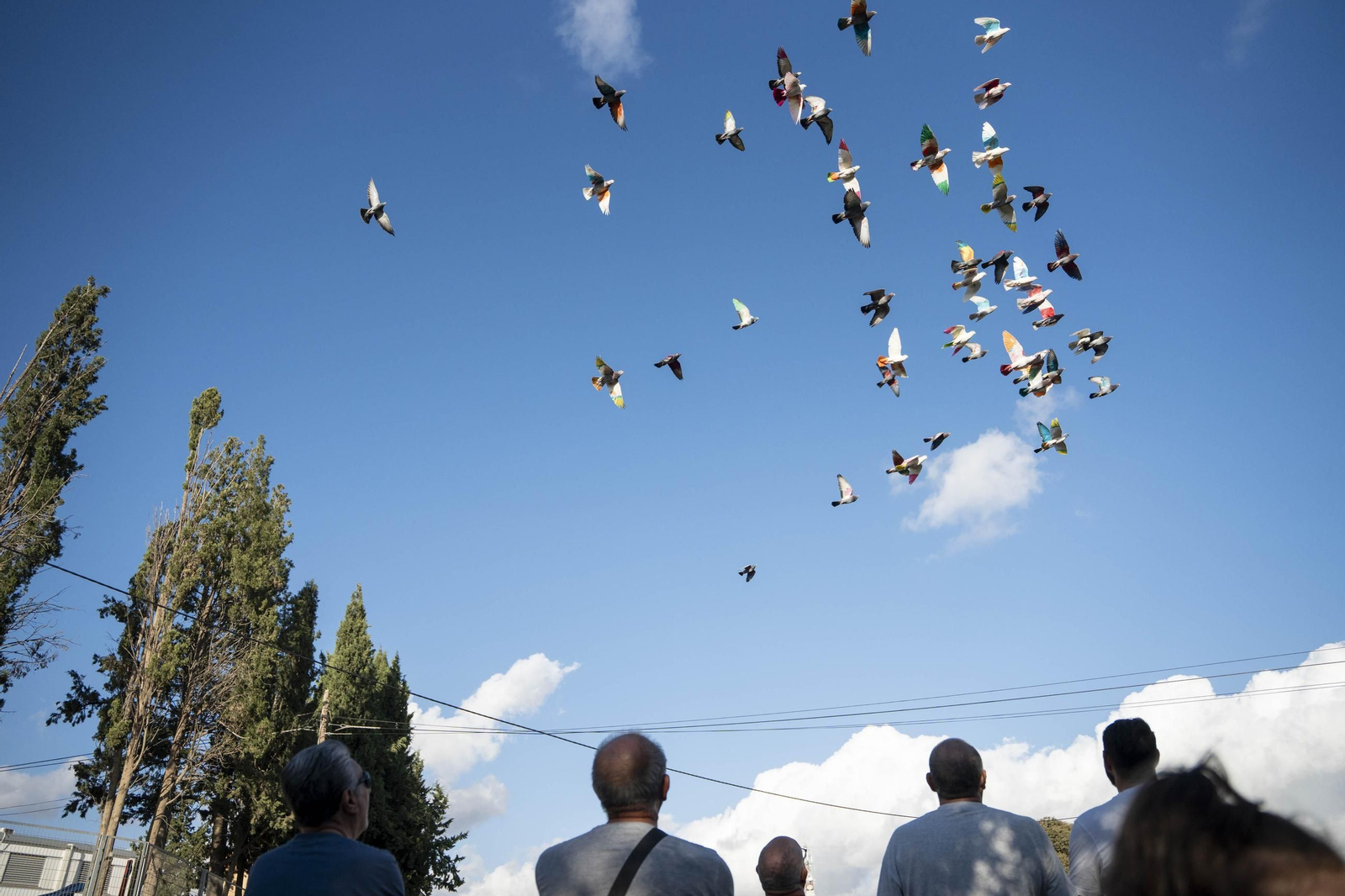 Las mejores imágenes de la suelta de palomos en la Feria de Albox