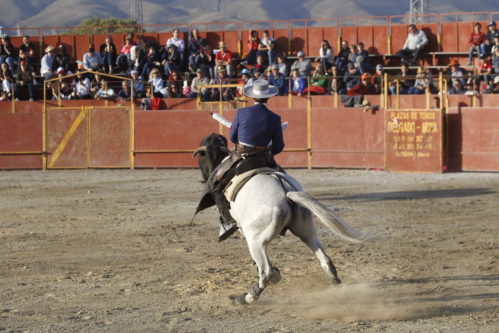 Fotogalería Festival Taurino Mixto. Fiestas de Abrucena.