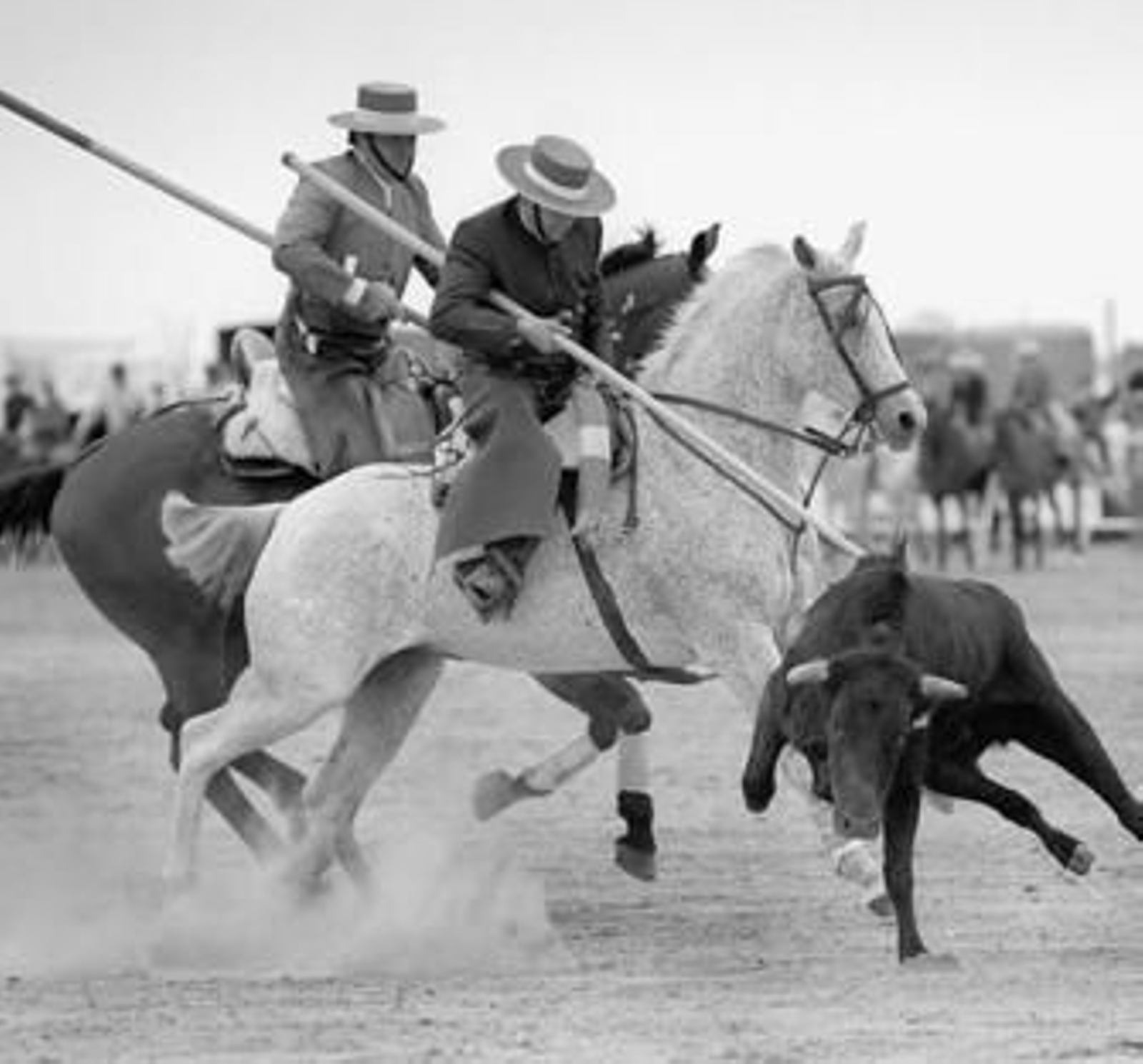El corredero La Palmosa de El Rocío acogerá un Campeonato Autonómico