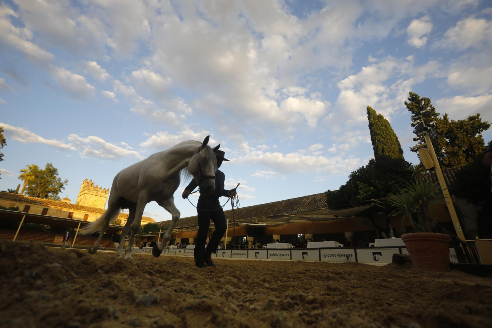 El concurso morfológico de caballos de pura raza de Cabalcor, en fotografías