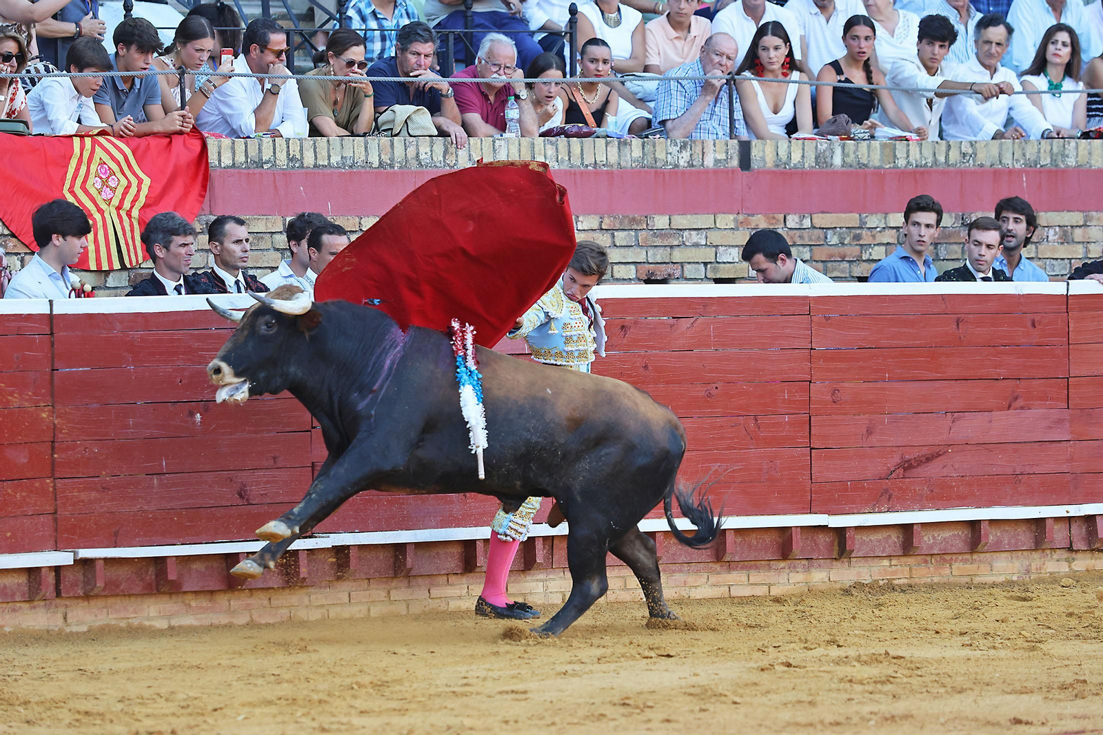 Toros La Merced 2024 Novillada con picadores(