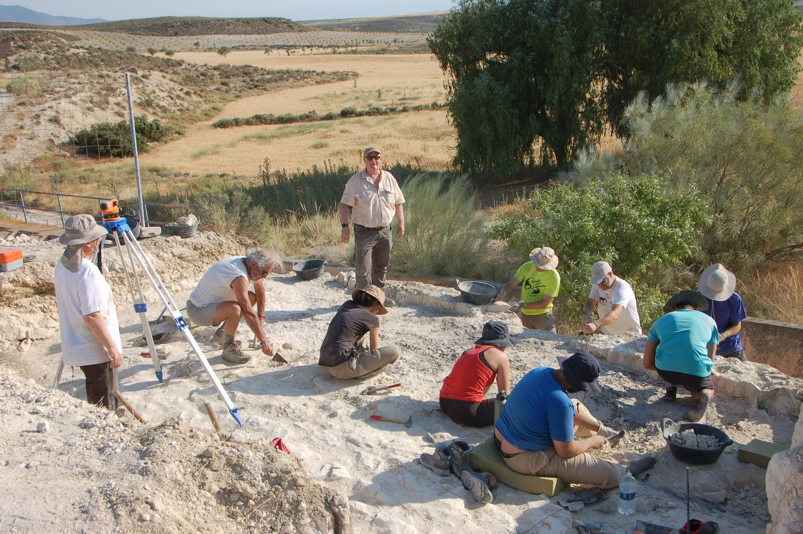 Trabajos de excavación en la zona.