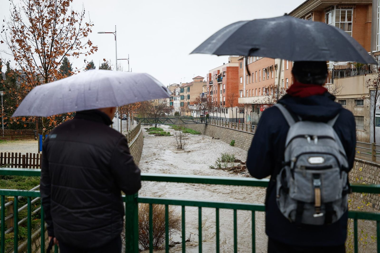 Granada capital sí recogerá algunos litros más de lluvia antes de que Leonardo se marche.