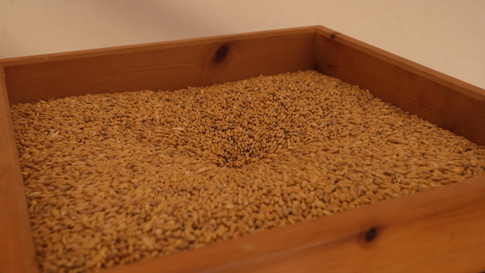 Agroferia de Vélez Rubio, en imágenes