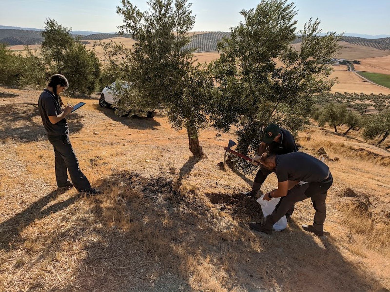 Investigadores del proyecto Soil O-live