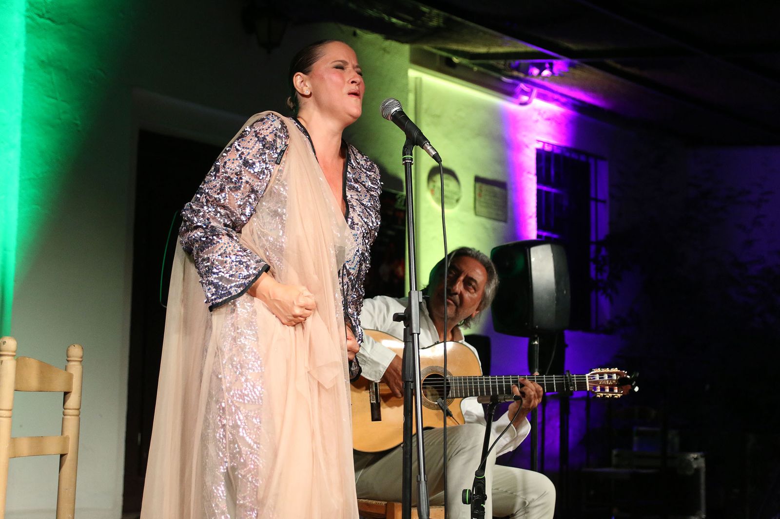 El XXXI Festival Flamenco de Fondón, en imágenes