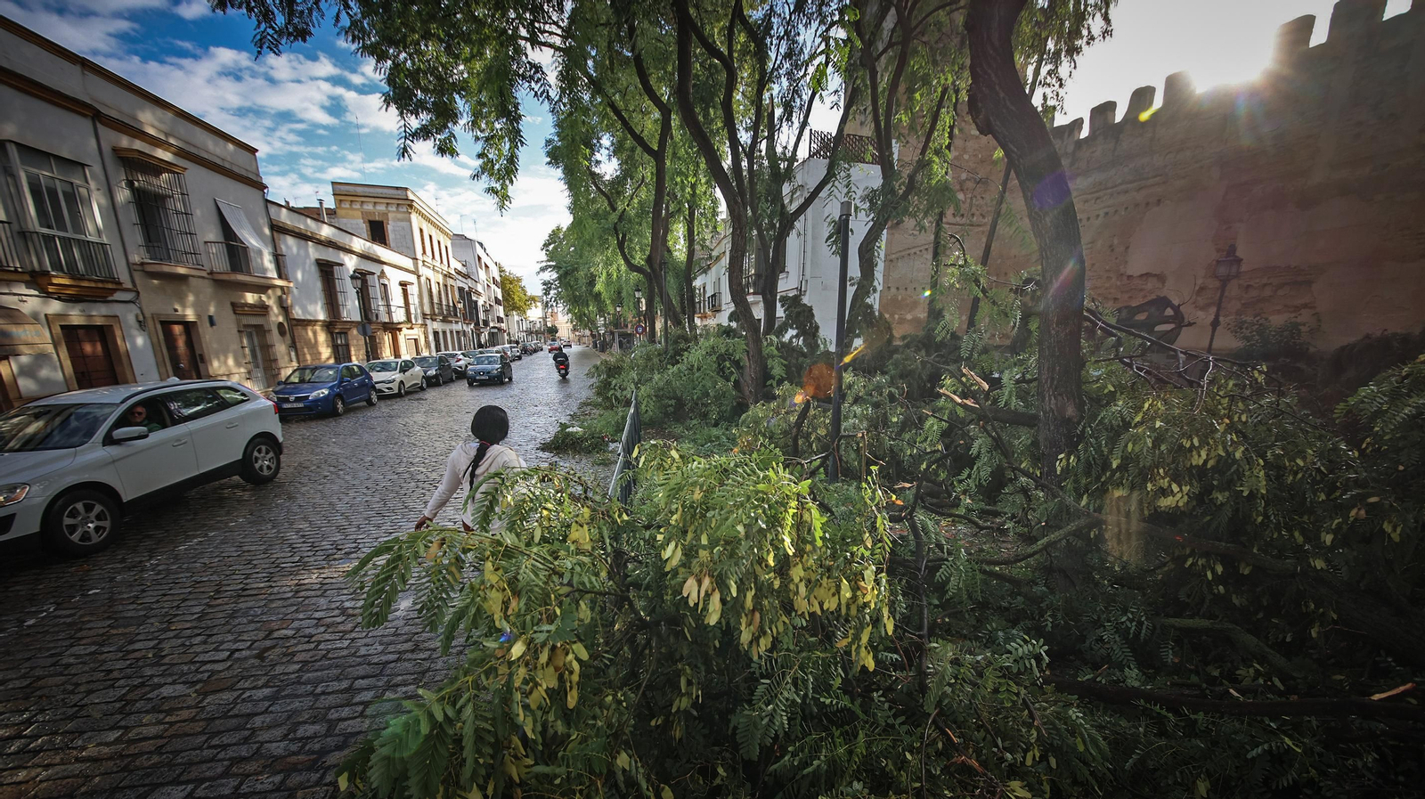 Así está Jerez tras el paso de 'Bernard'
