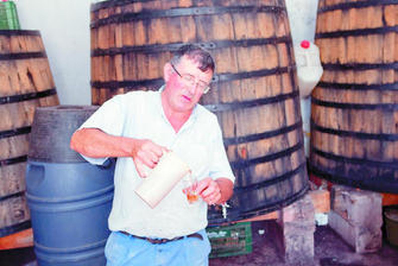 Varias bodegas continúan produciendo un vino de calidad en la Sierra de la Contraviesa.
