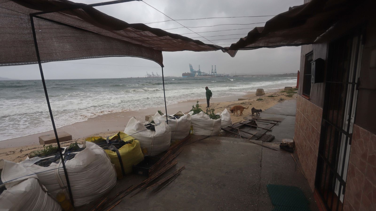 Fotos del temporal de levante en el Campo de Gibraltar