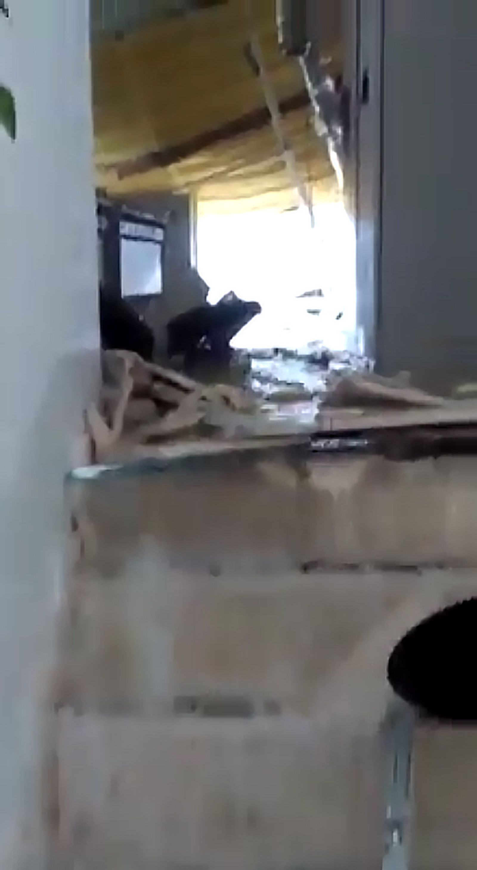 Dos imágenes tomadas del vídeo en el que se ve el hundimiento del techo de la Comandancia de Cádiz.