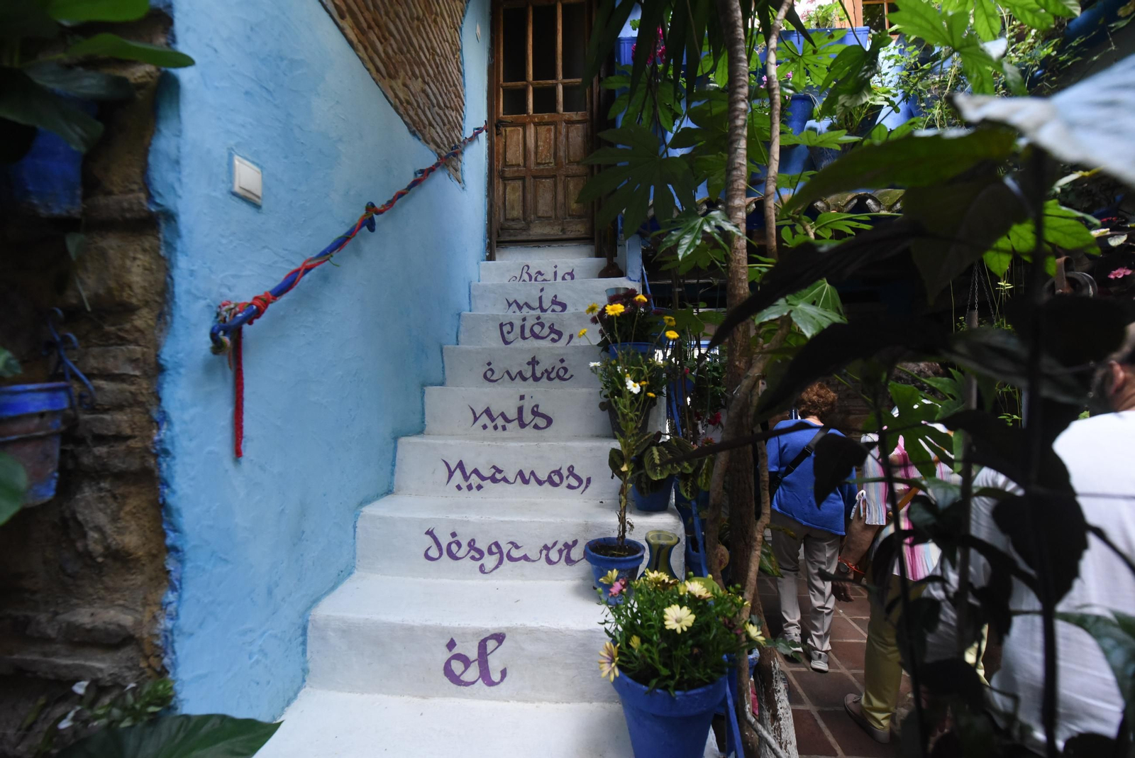 Los Patios de la ruta de San Lorenzo, en imágenes