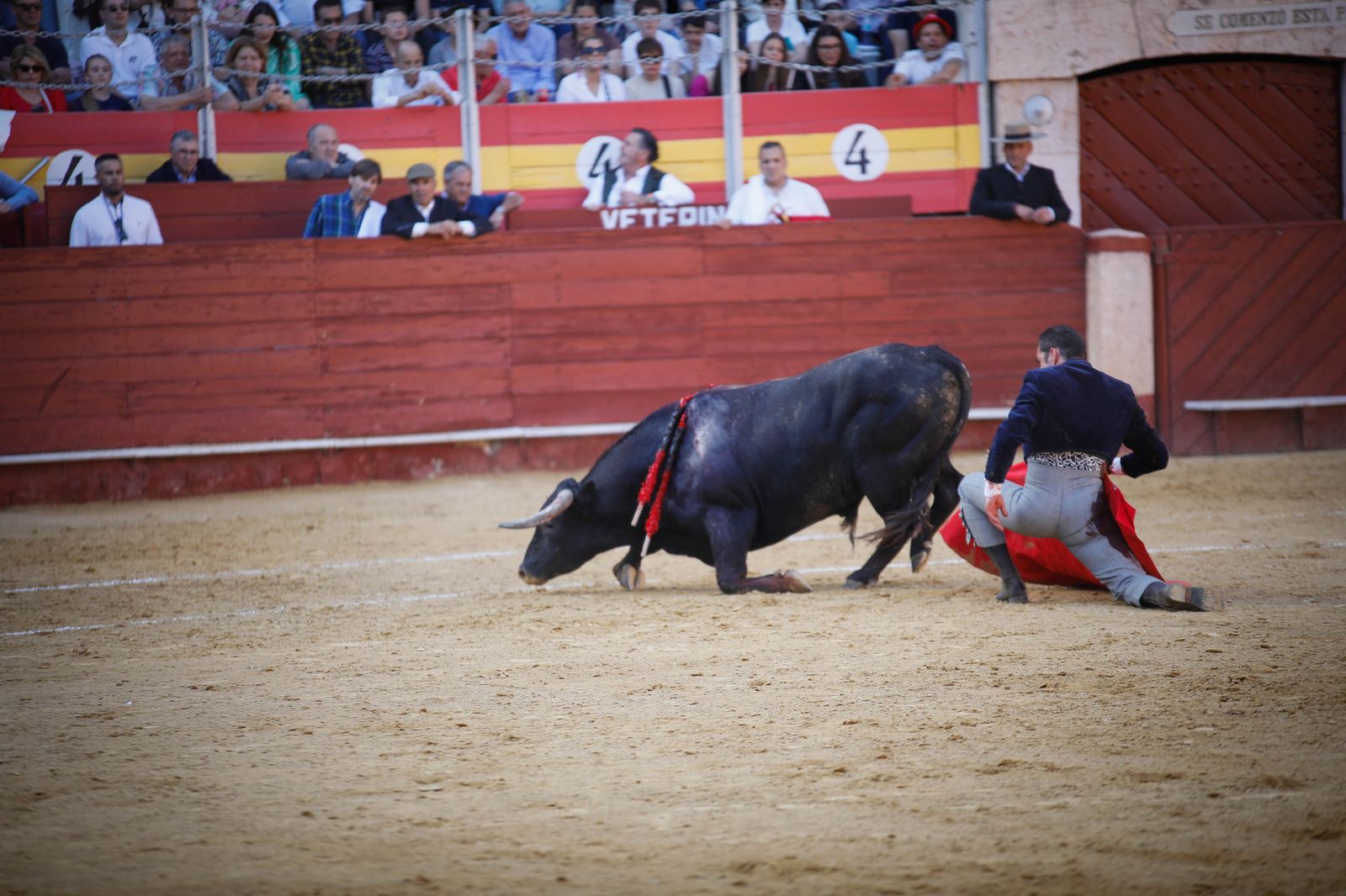 Imágenes del festival mixto lucha contra el cáncer