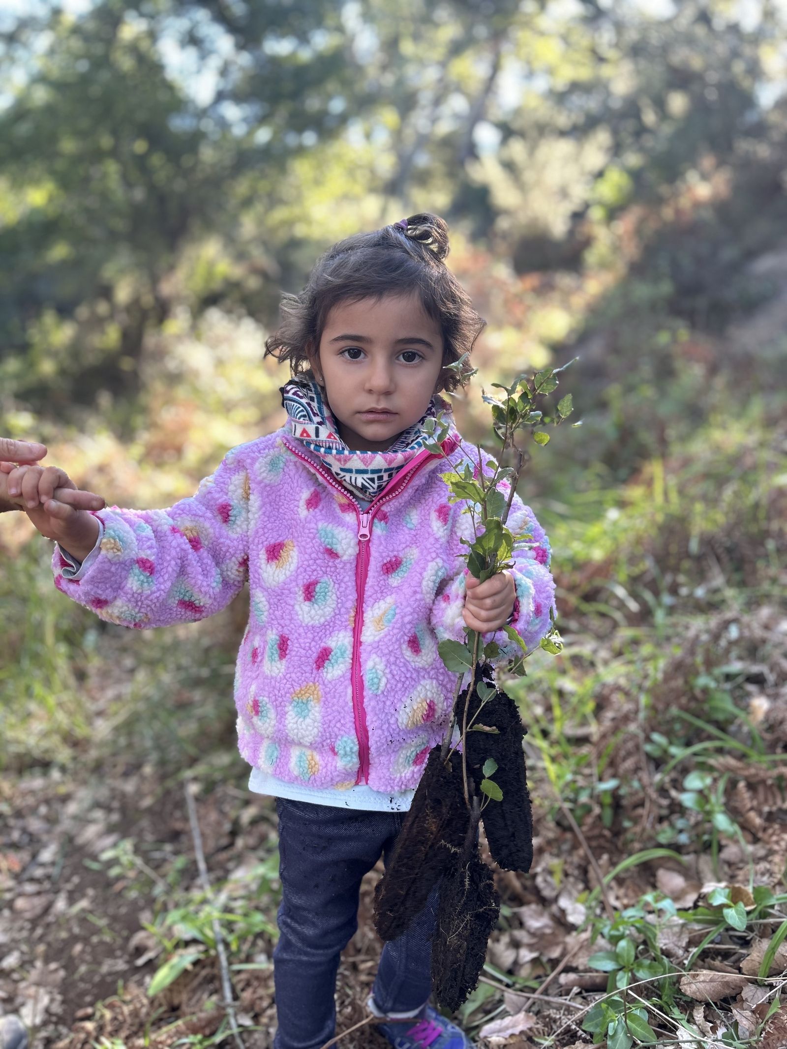 Jornada de reforestación en El Palancar por trabajadores de Acerinox, en imágenes