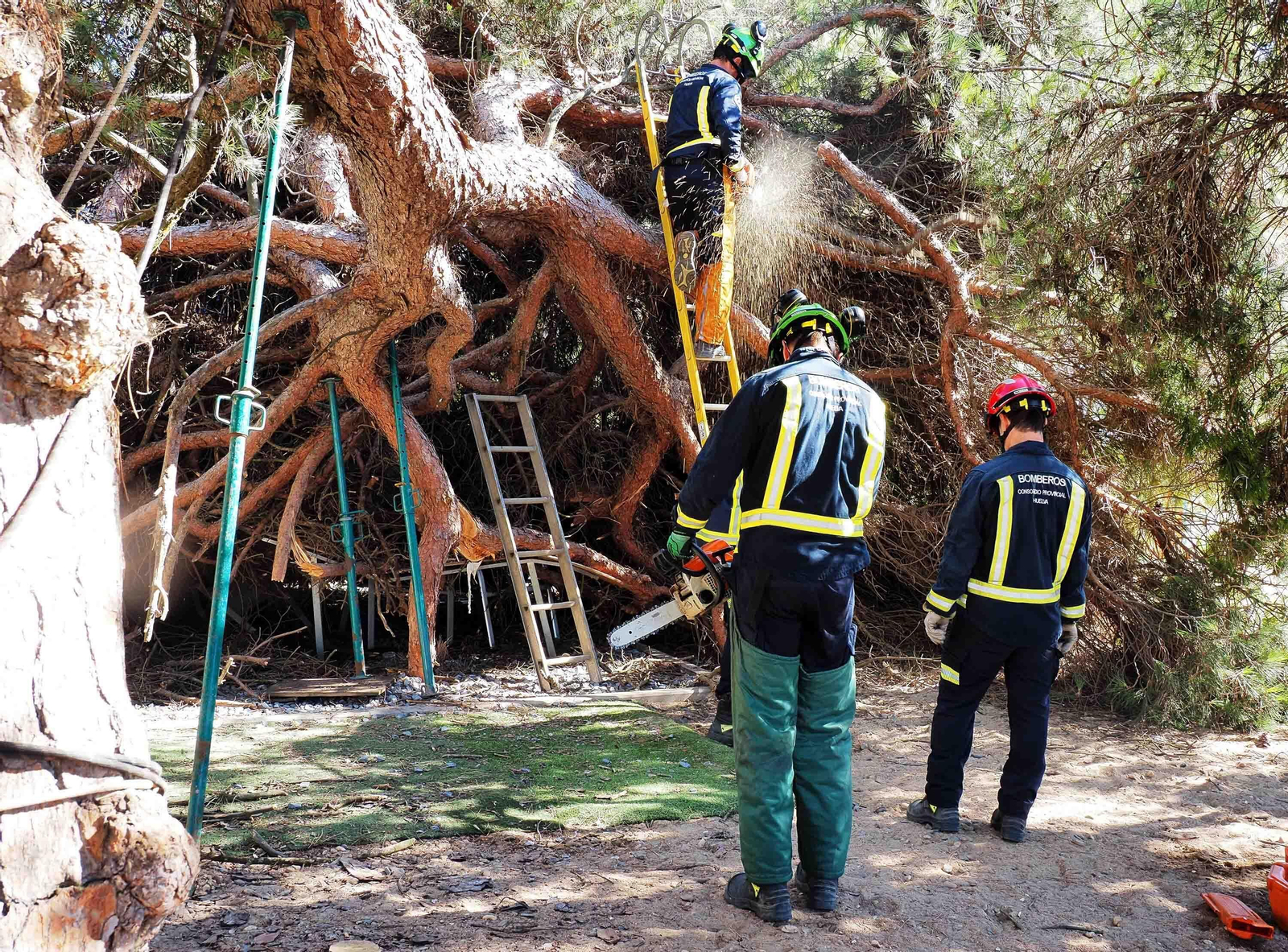 Un pino cae sobre las mesas de un restaurante en Nuevo Portil.