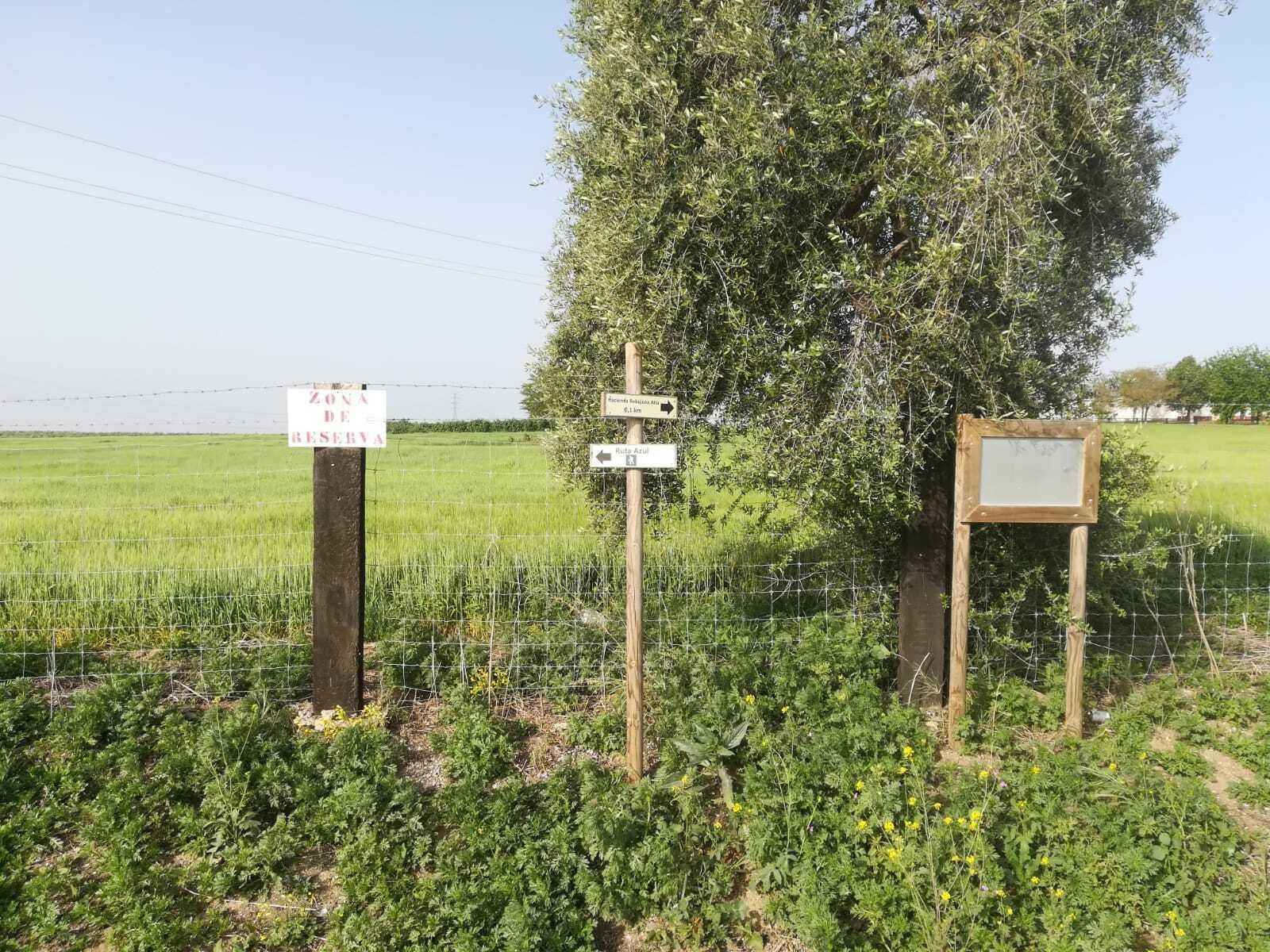 Fotos de la ruta Umbrete-Ermita de Cuatrovitas