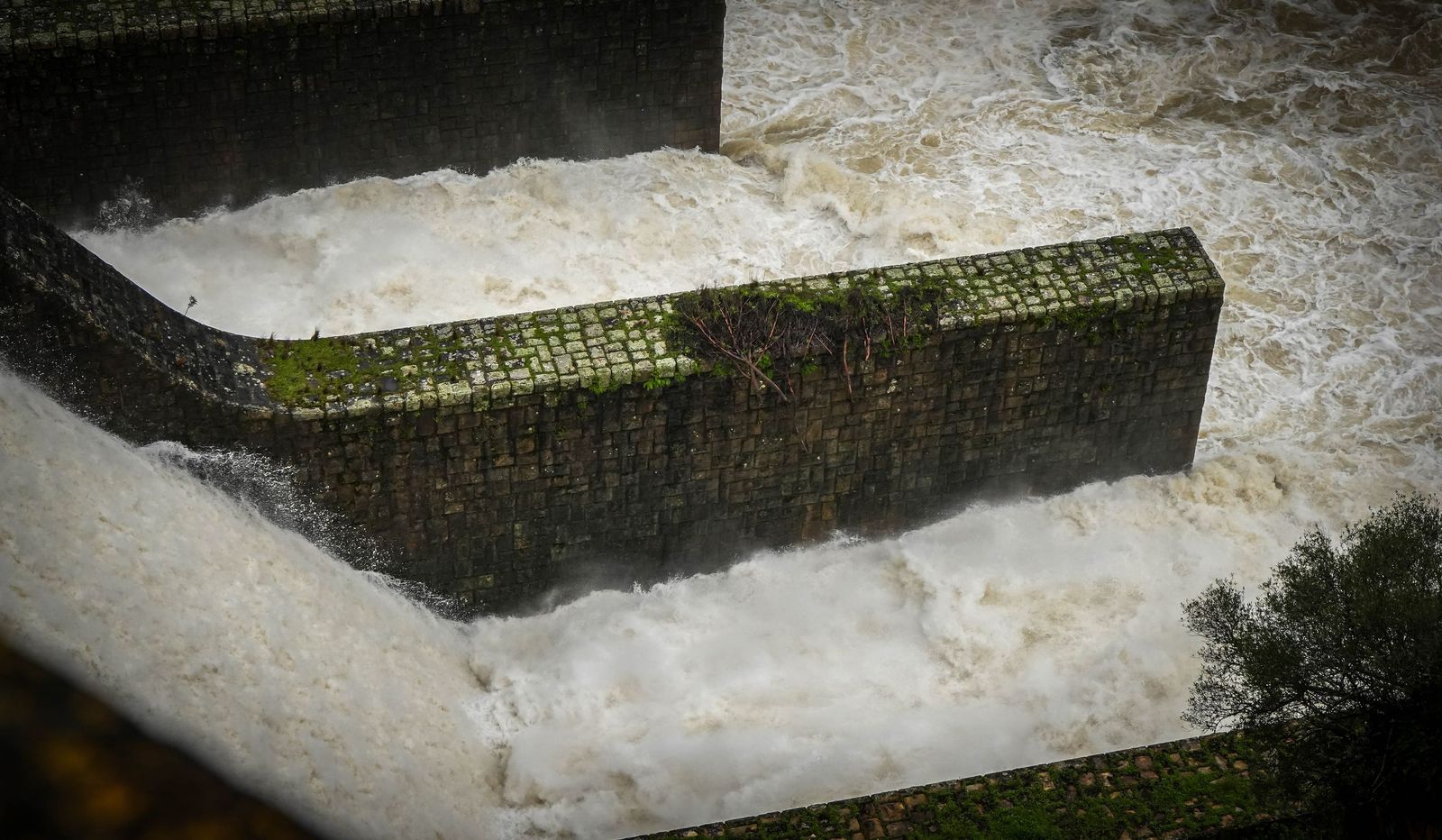 Imágenes del estado actual de los embalses de los Hurones, Guadalcacín y Bornos