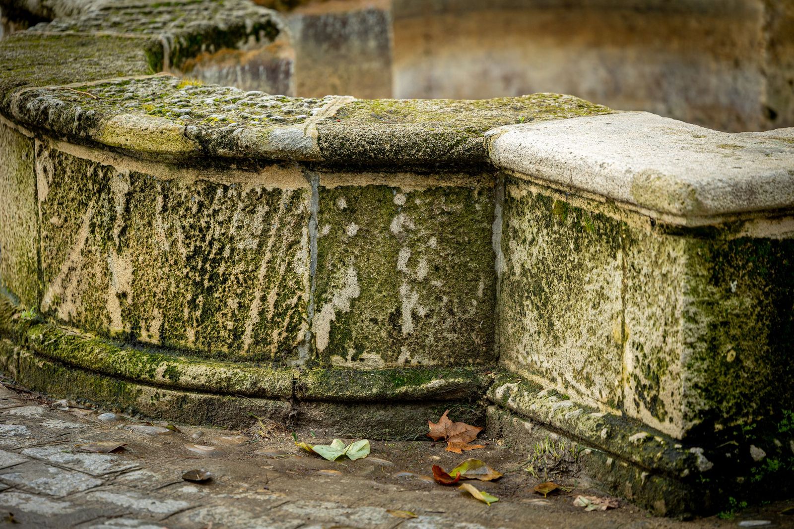 Las imágenes del mal estado de la Plaza de España en Cádiz