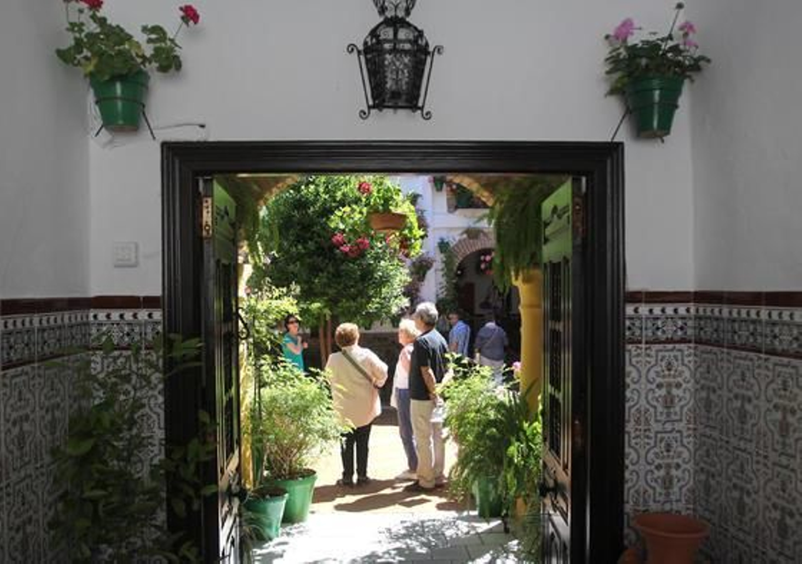 Parras 8.

Foto: Jose Martinez