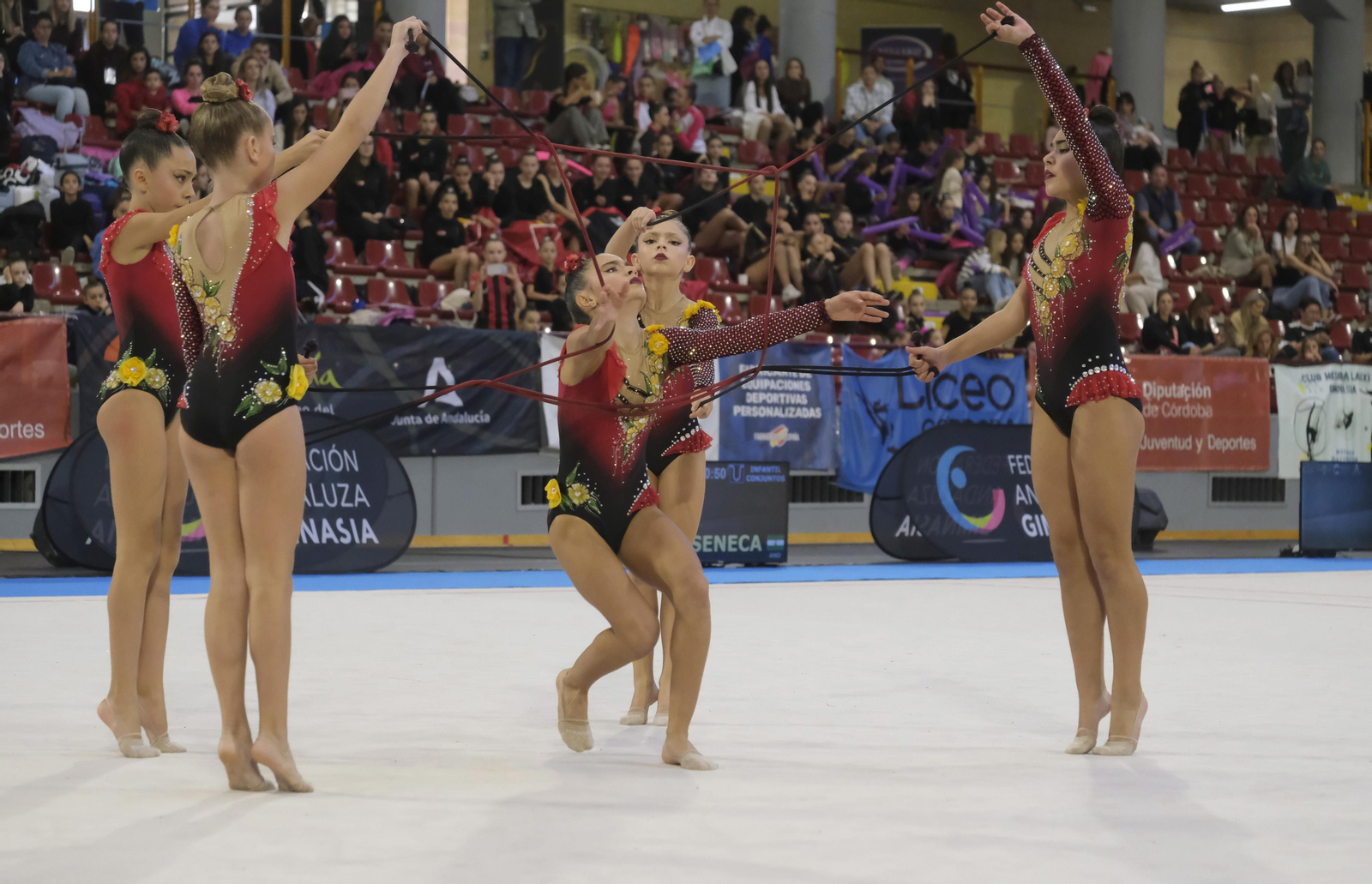 Las mejores imágenes del torneo nacional de gimnasia rítmica Ciudad de Córdoba