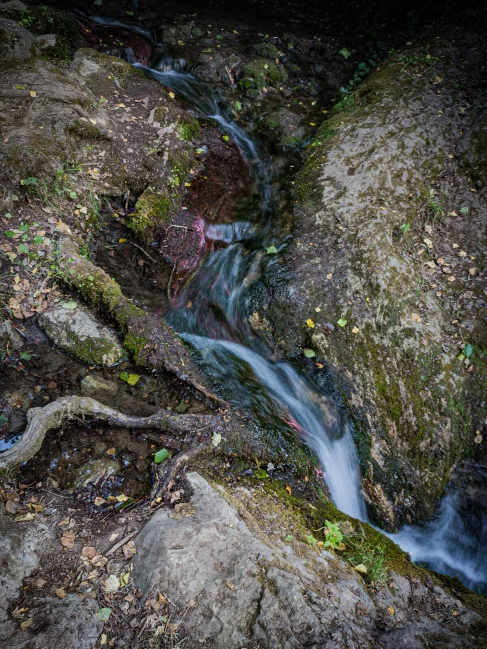 Los colores de la naturaleza se funden con el caudal del río, que discurre por sitios insospechados. Los colores de la naturaleza se funden con el caudal del río, que discurre por sitios insospechados.