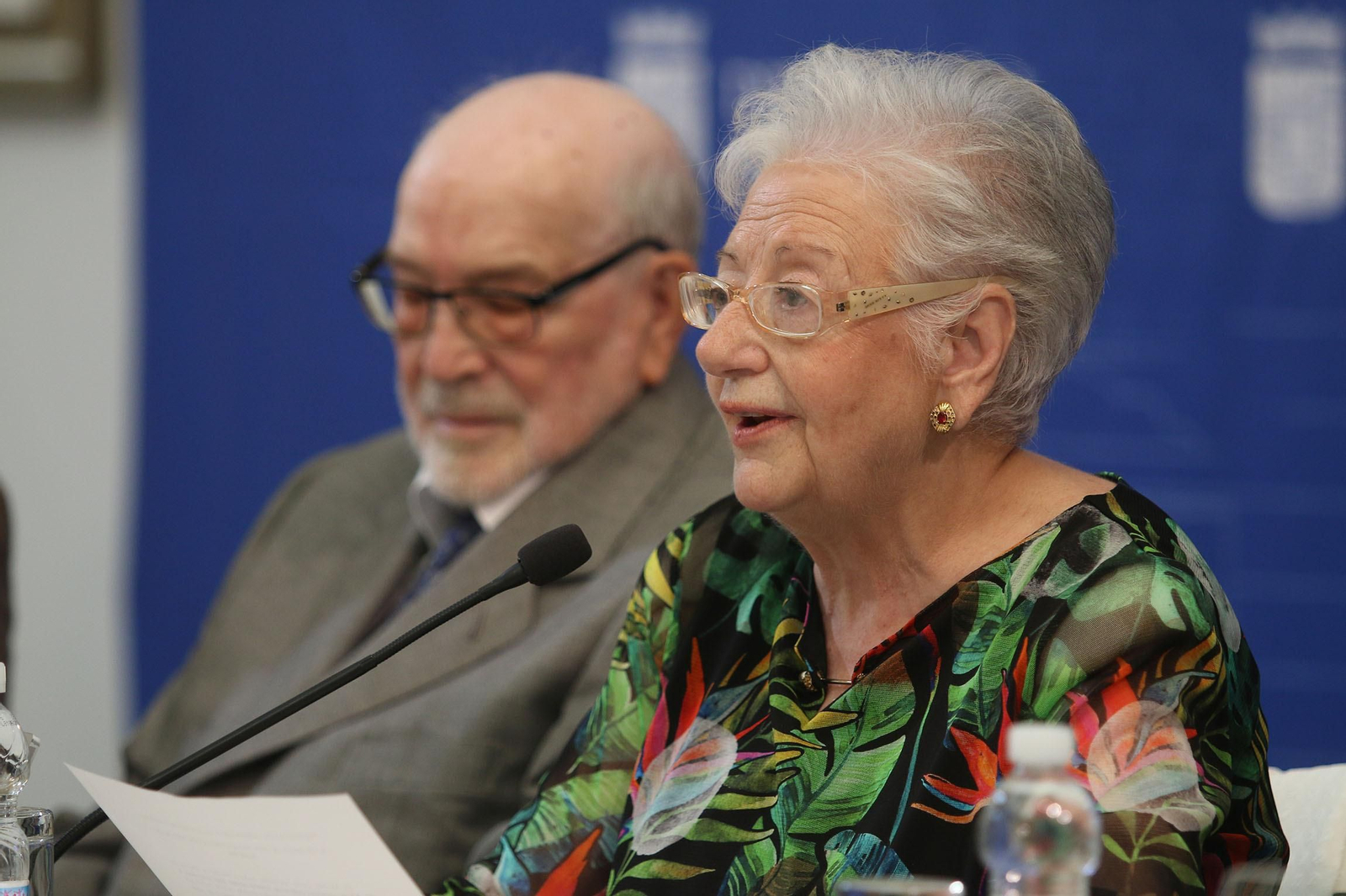 Fotogalería homenaje al pintor Julio Visconti