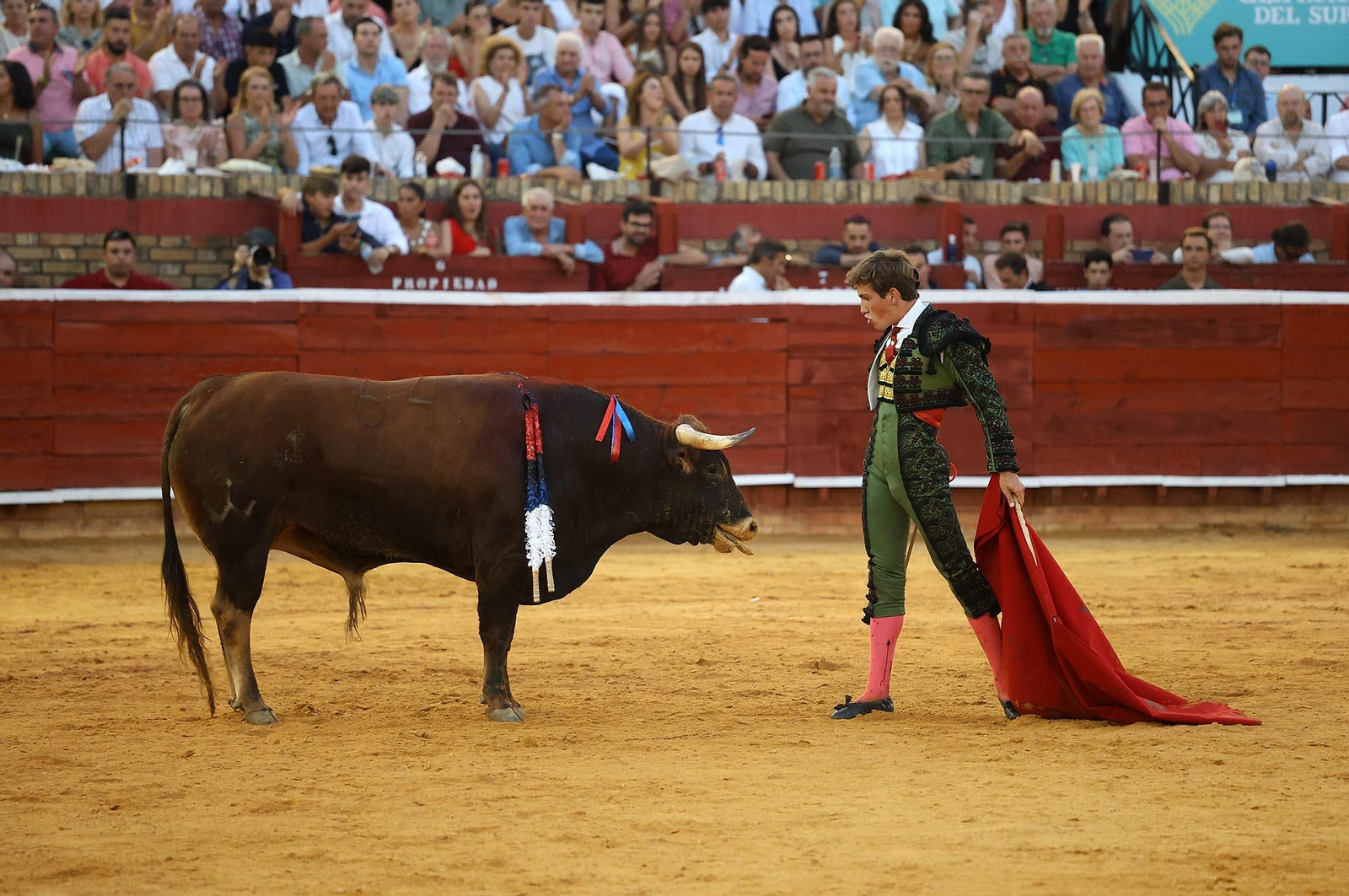 Toros La Merced 2025: Imágenes de la Novillada de Javier Zulueta, Cristian González y Carlos Tirado