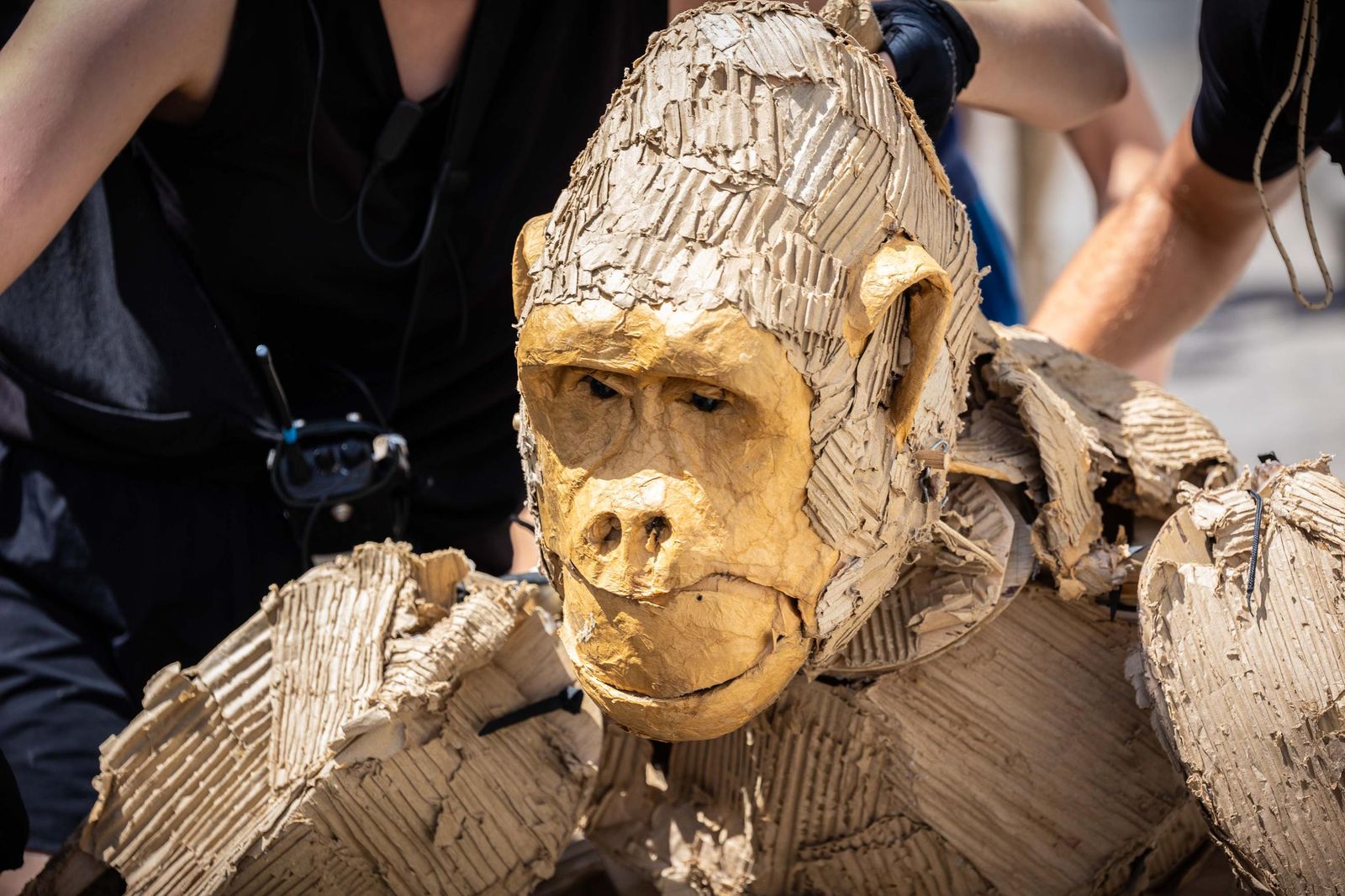 Las imágenes de 'La estampida' en San Fernando