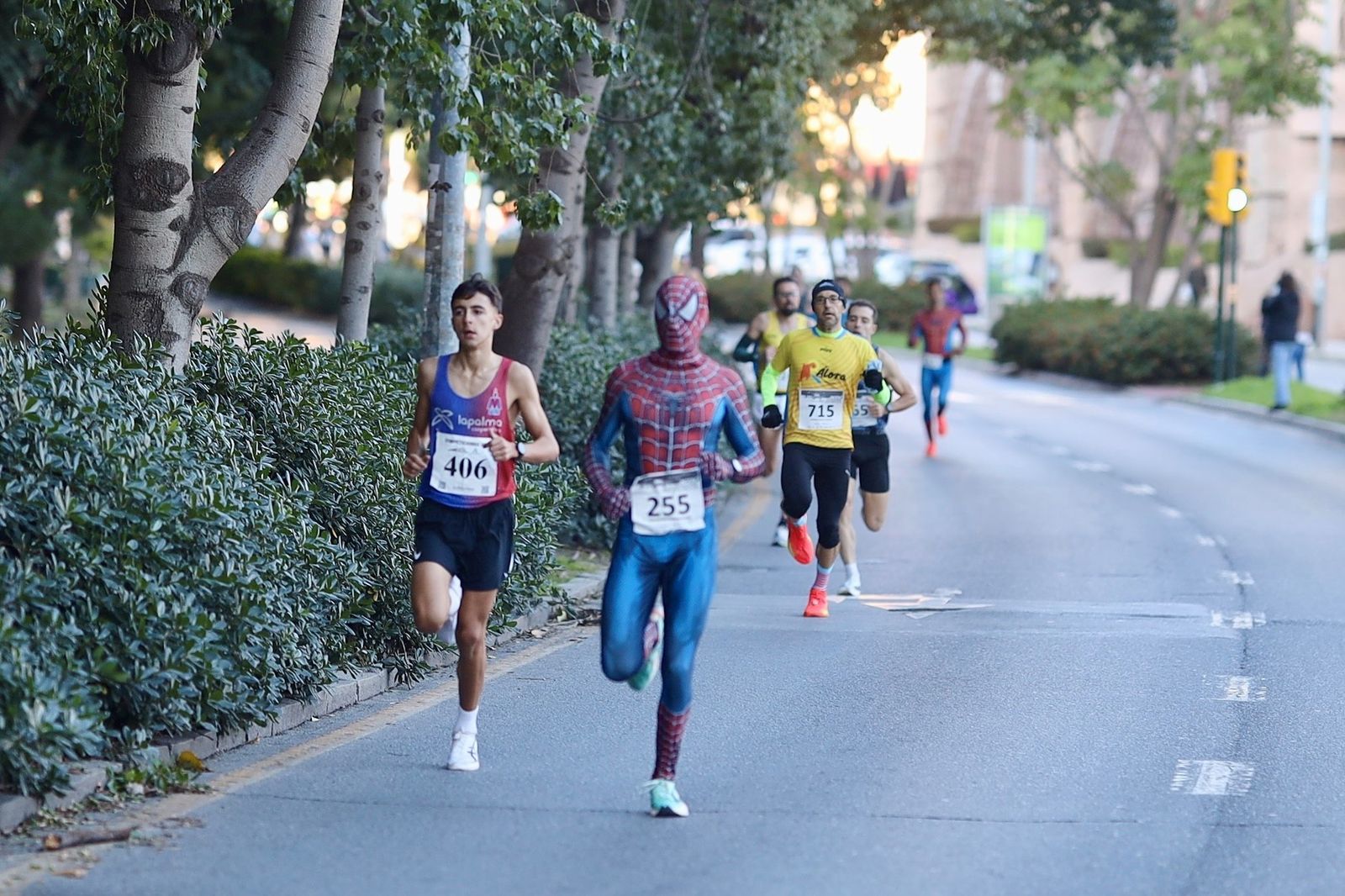 Las fotos de la XIV San Silvestre Palma-Palmilla