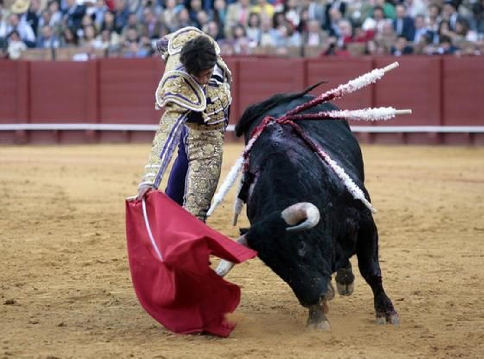 Foto: Juan Carlos Muñoz