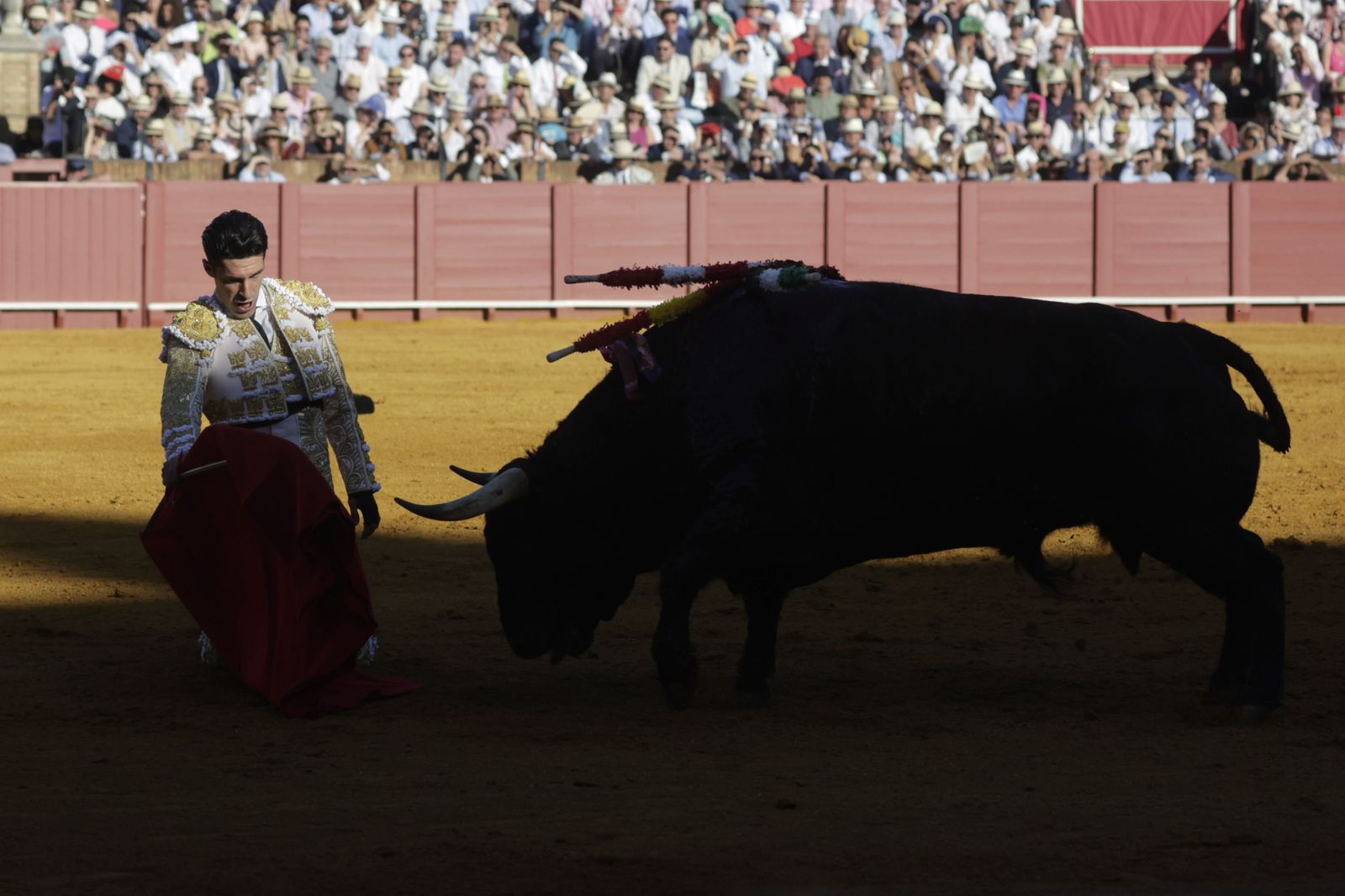 Las imágenes del festejo