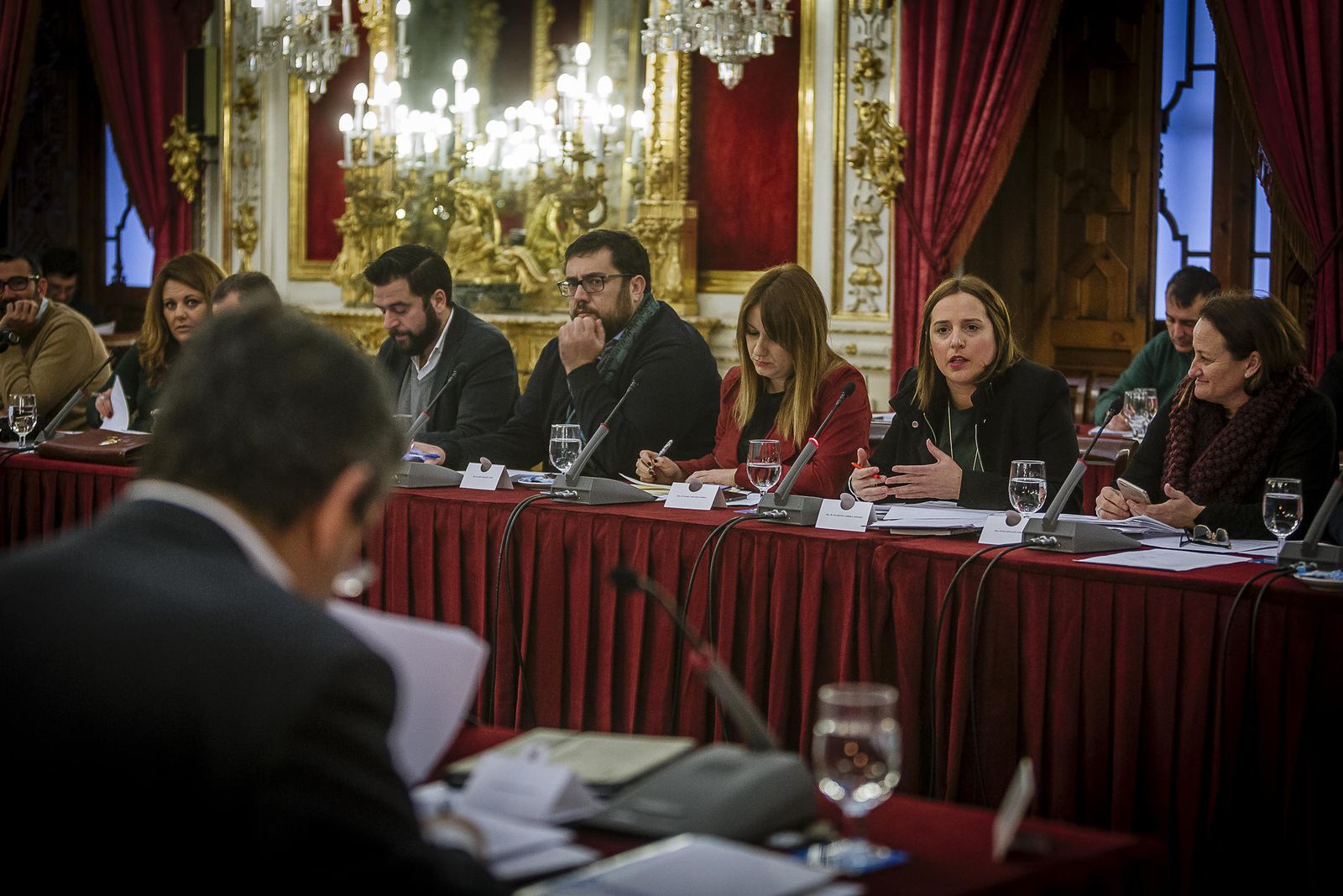 La diputada socialista Ana Carrera defiende el nuevo Plan de Cooperación Local en el pleno de ayer.