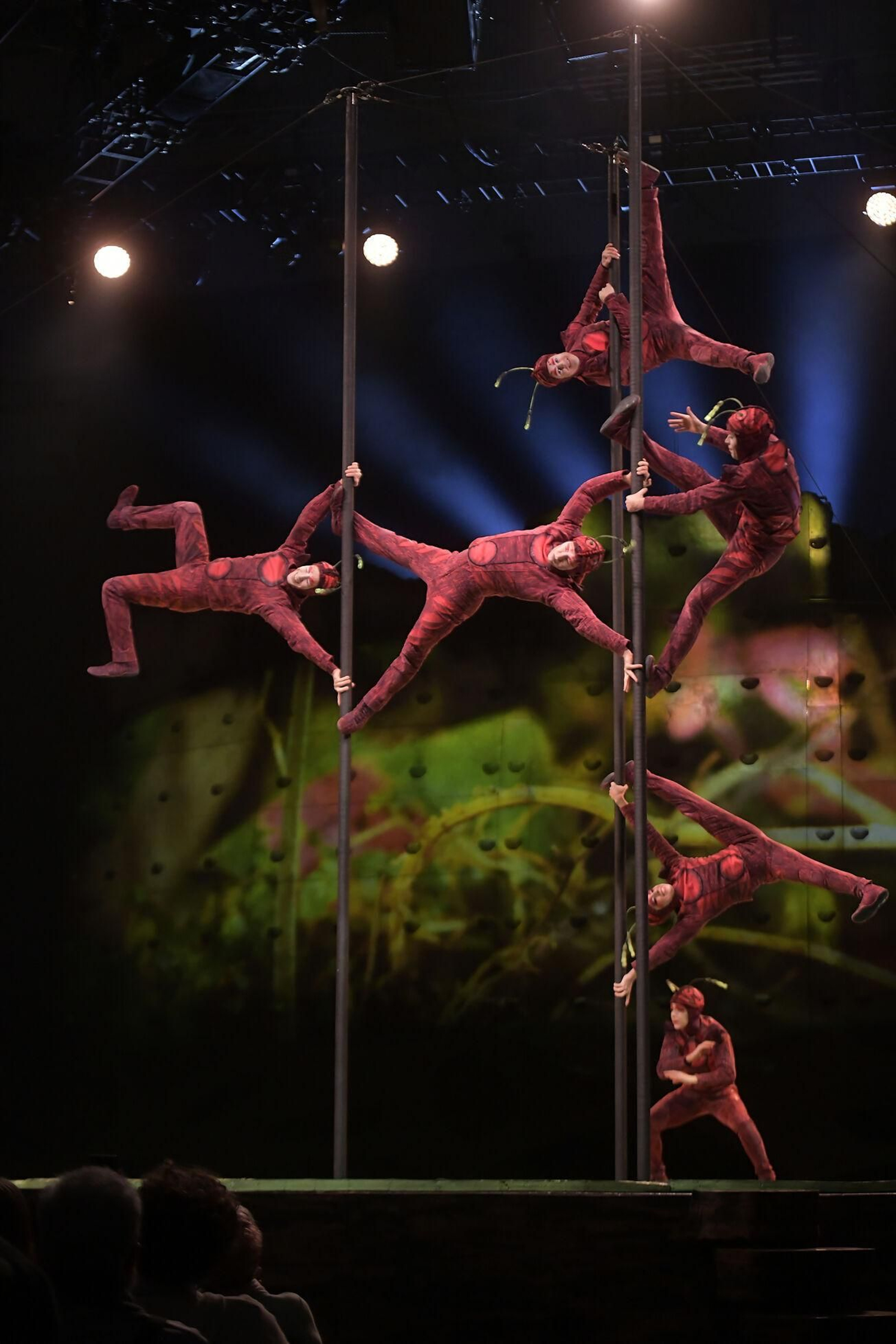 El Circo del Sol brilla en el Palacio de Deportes de Granada