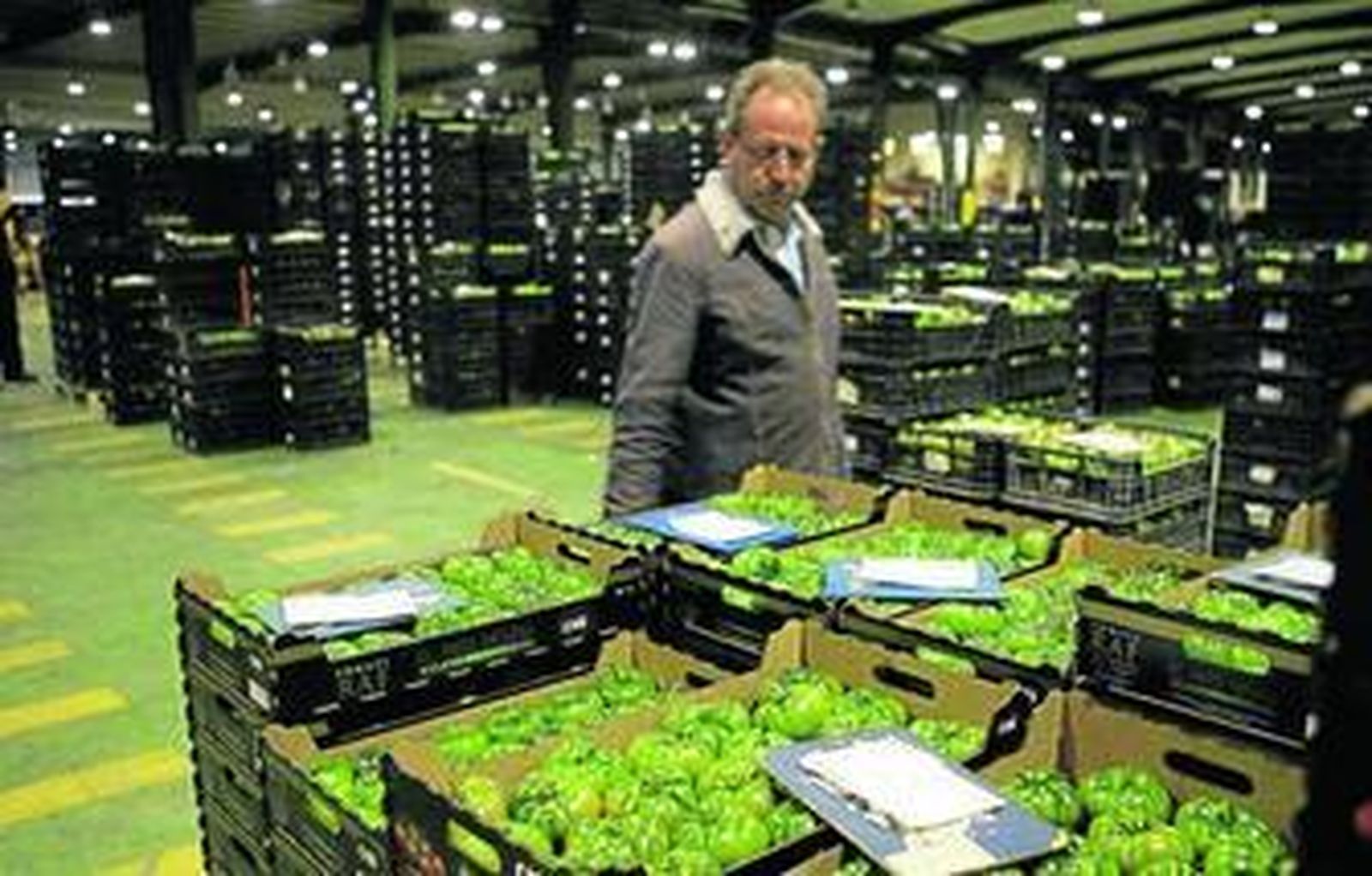 Instalaciones de la cooperativa CASI en La Cañada.